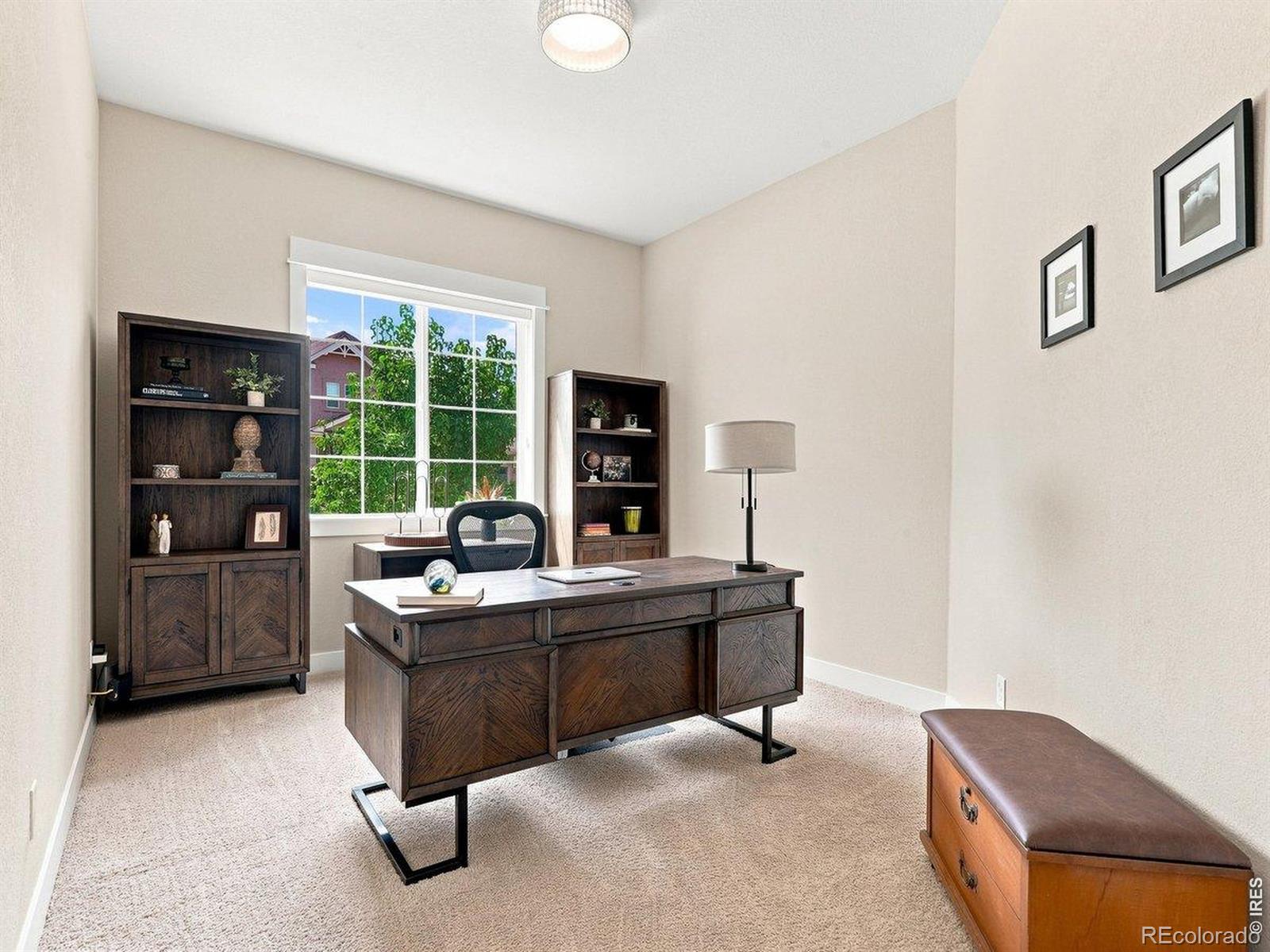 MLS Image #26 for 5510  evangeline drive,windsor, Colorado
