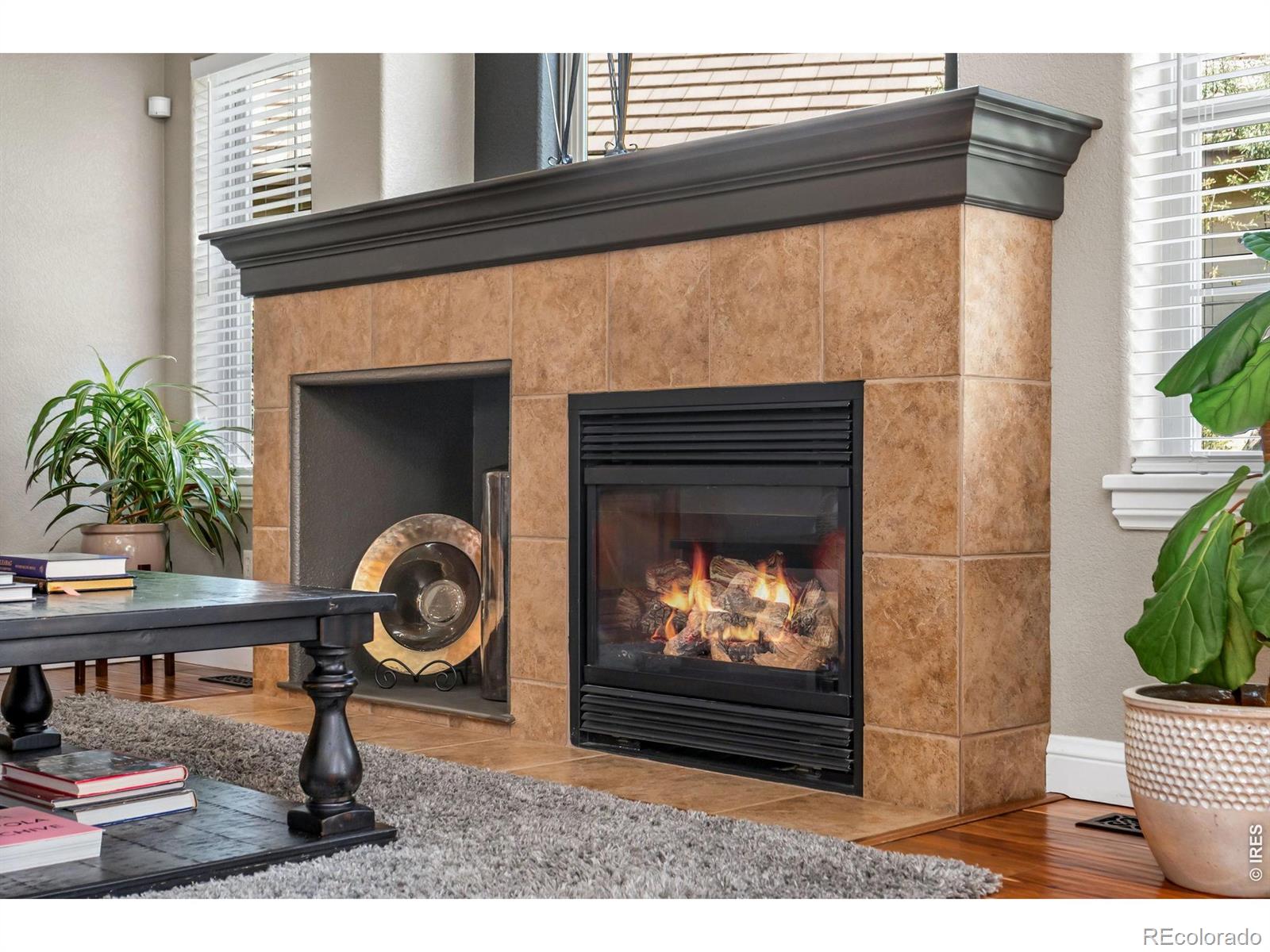 MLS Image #13 for 1602  catamaran court,fort collins, Colorado