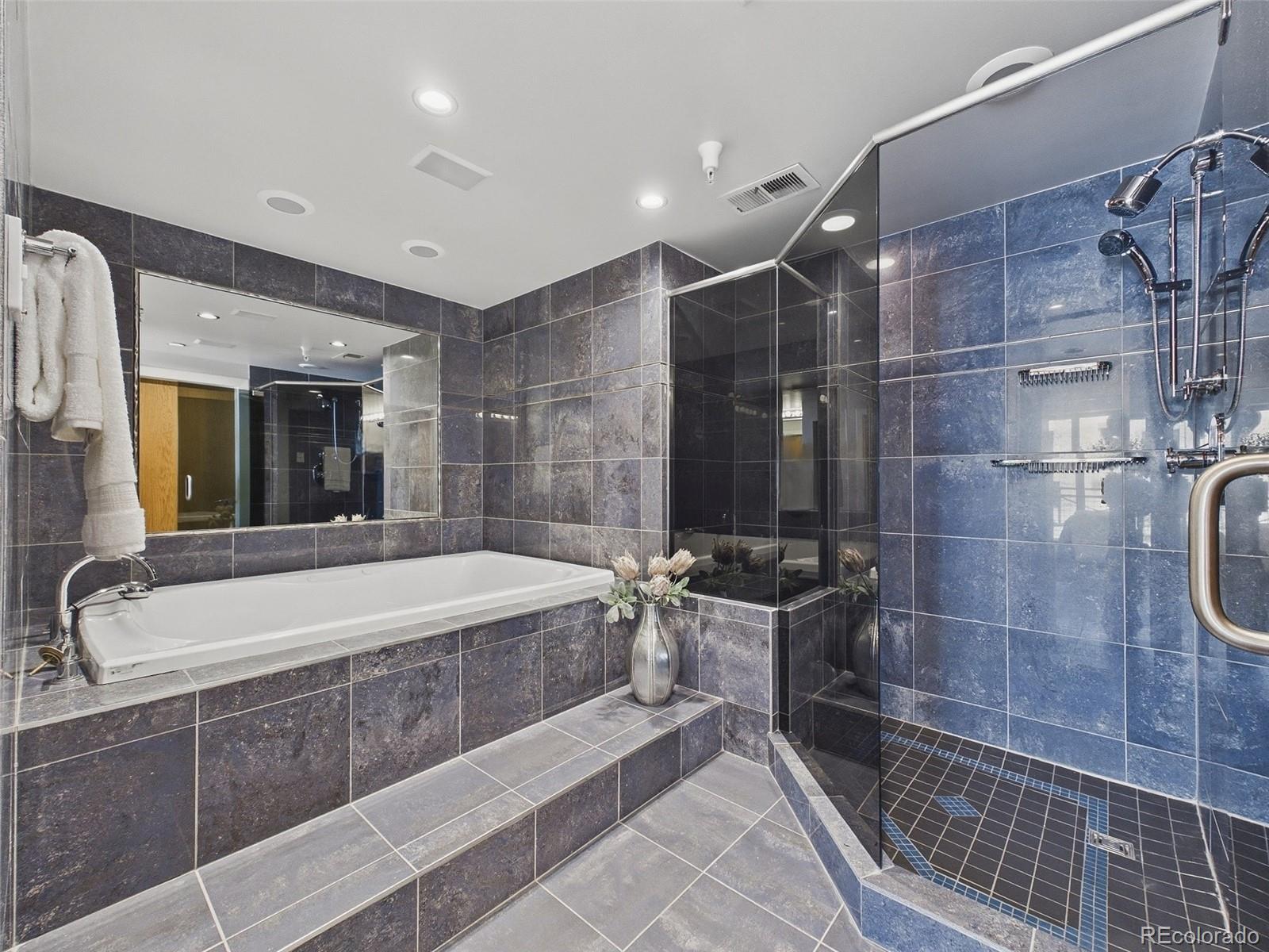 MLS Image #13 for 180  cook street 509,denver, Colorado
