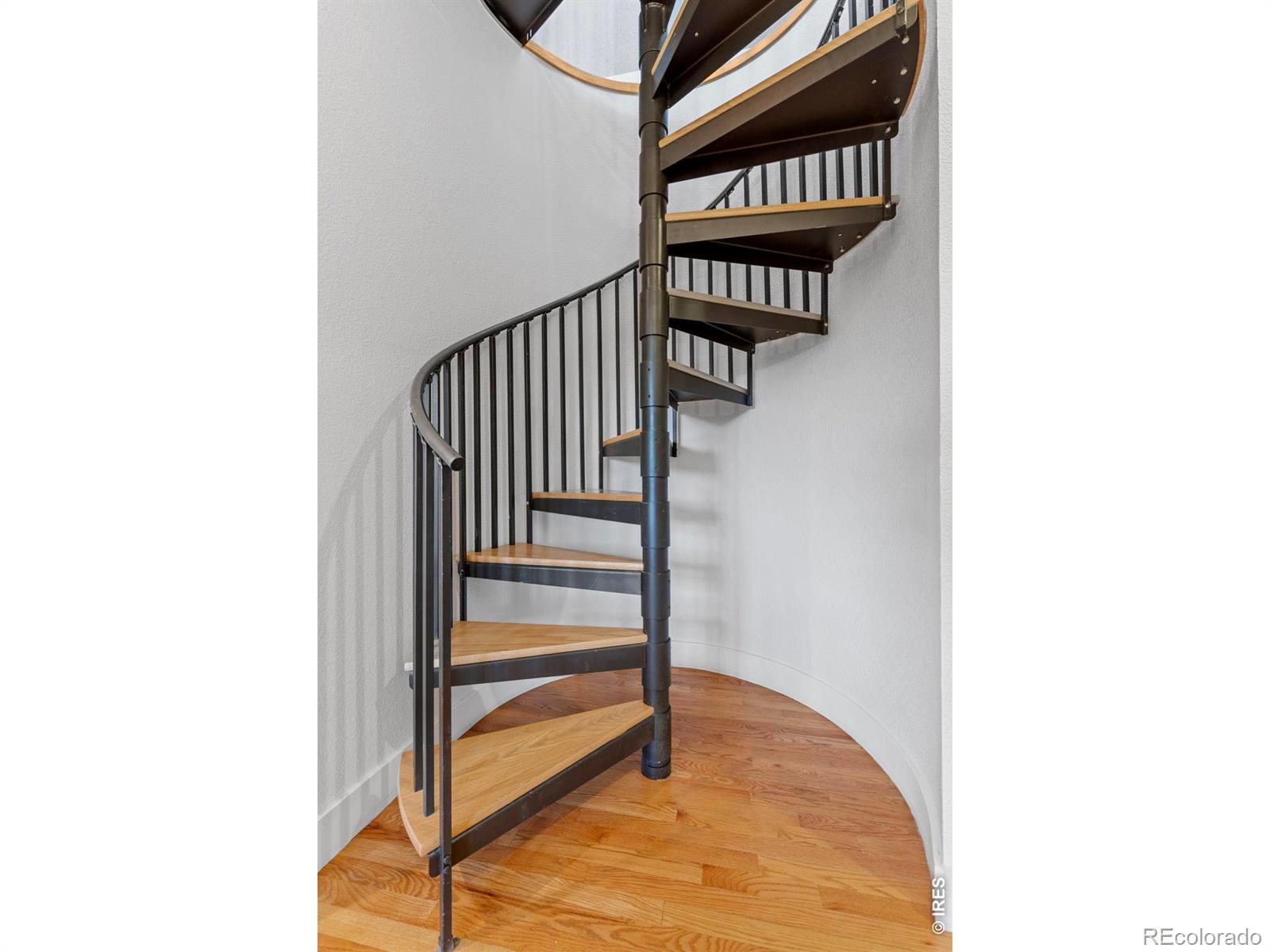 MLS Image #28 for 818  confidence drive,longmont, Colorado