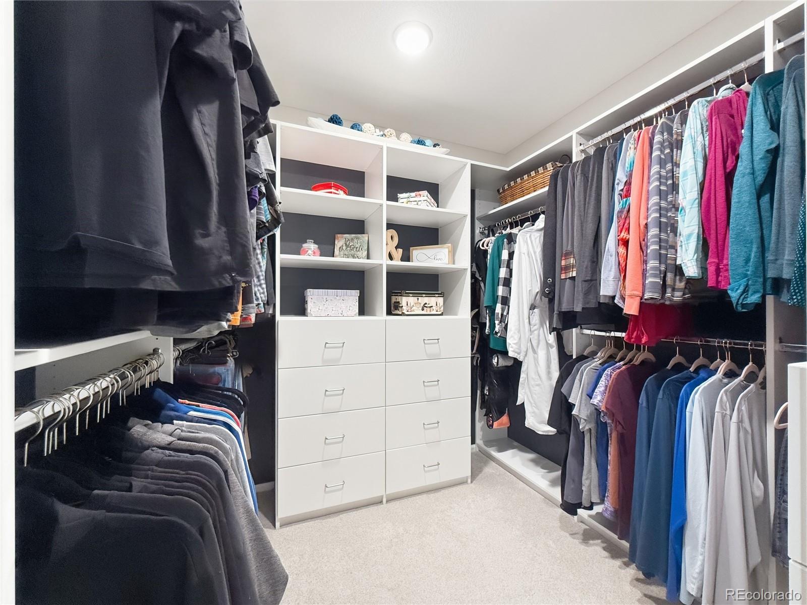 MLS Image #16 for 4647  gray wolf lane,castle rock, Colorado