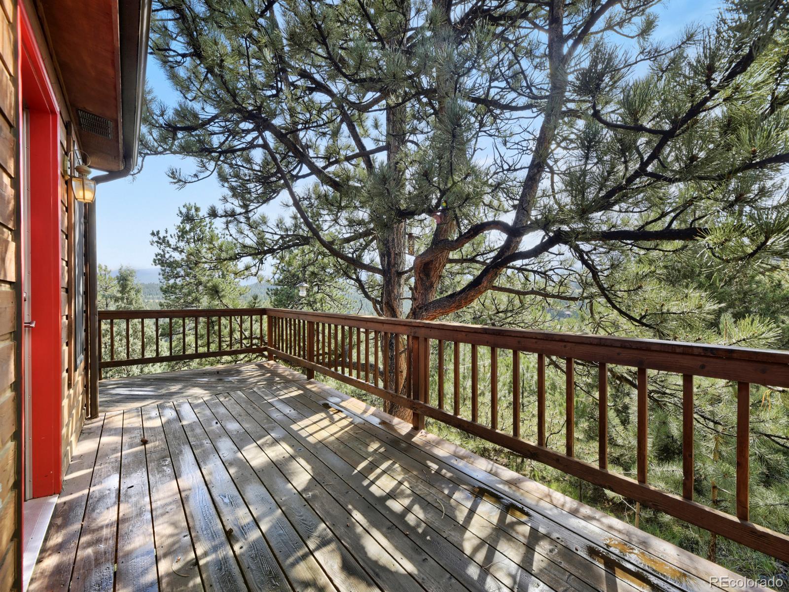 MLS Image #20 for 479  doe circle,bailey, Colorado