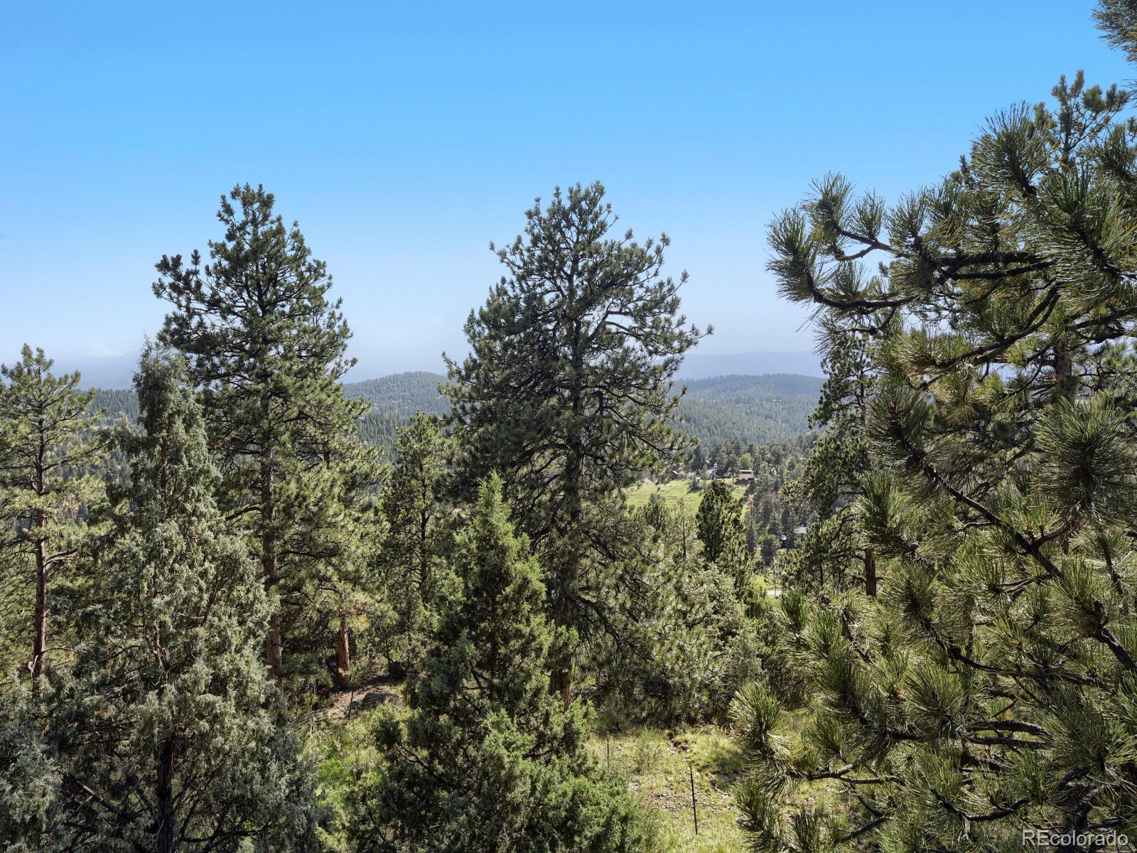 MLS Image #26 for 479  doe circle,bailey, Colorado