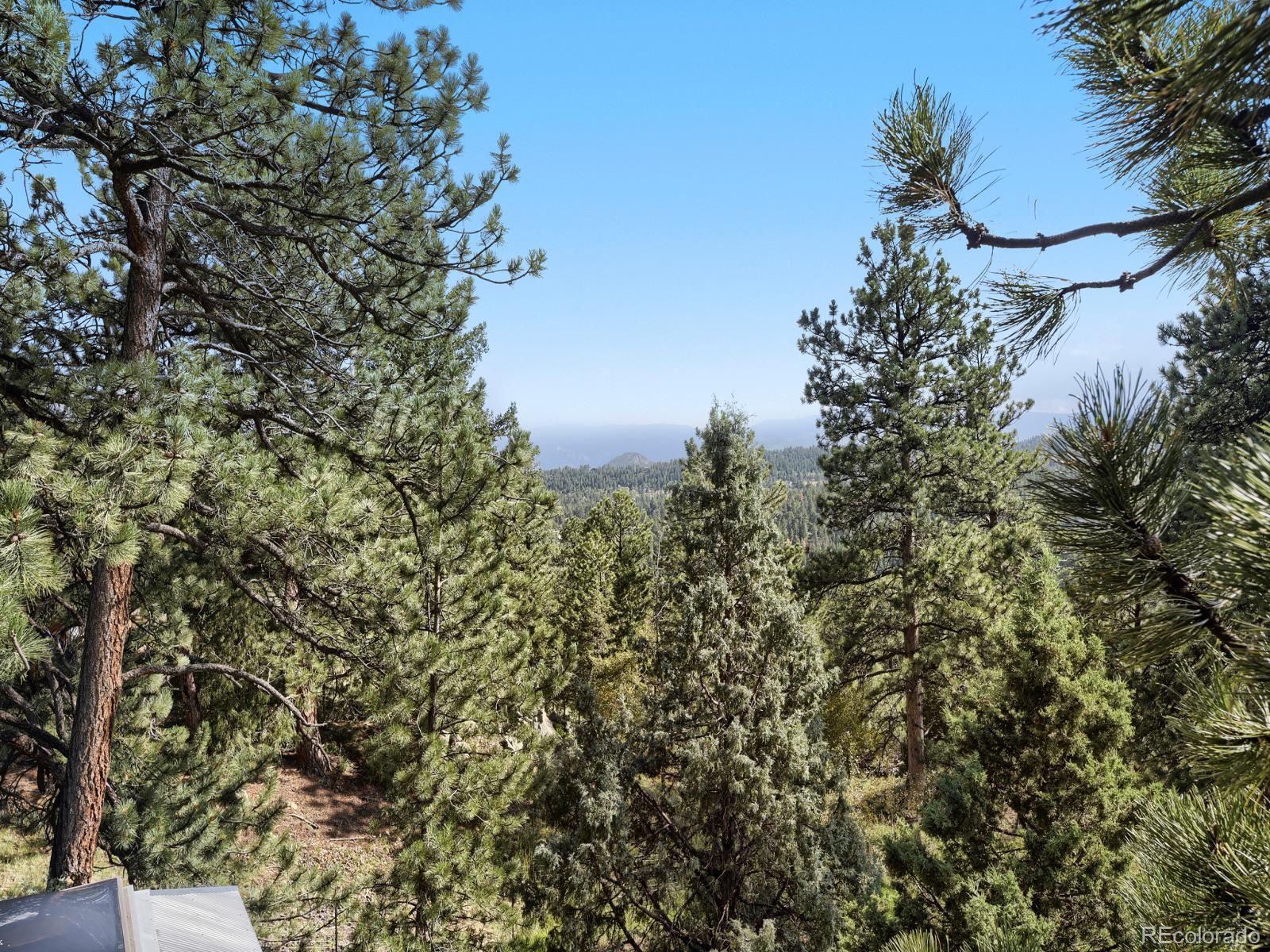 MLS Image #27 for 479  doe circle,bailey, Colorado