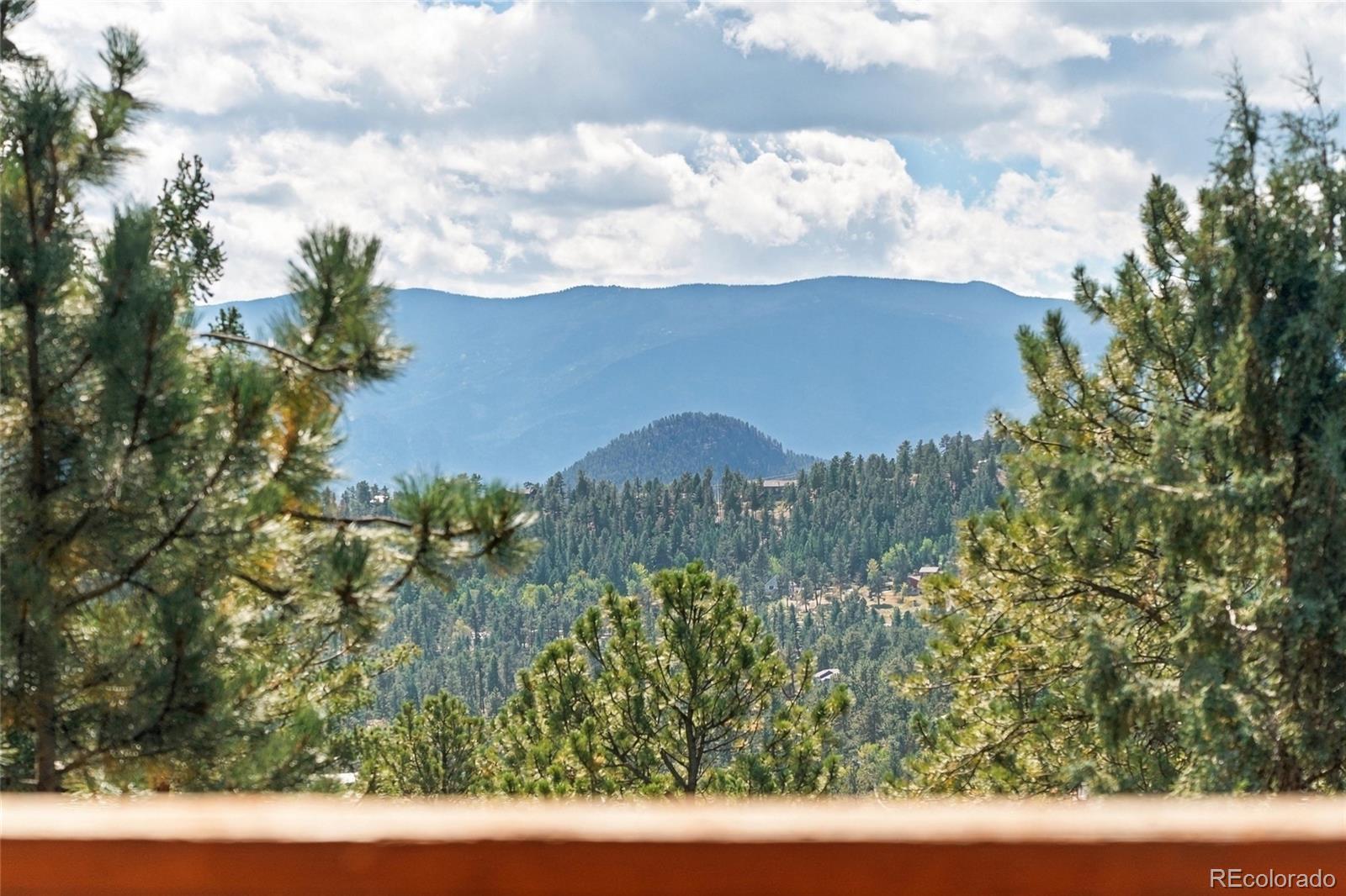 MLS Image #33 for 479  doe circle,bailey, Colorado