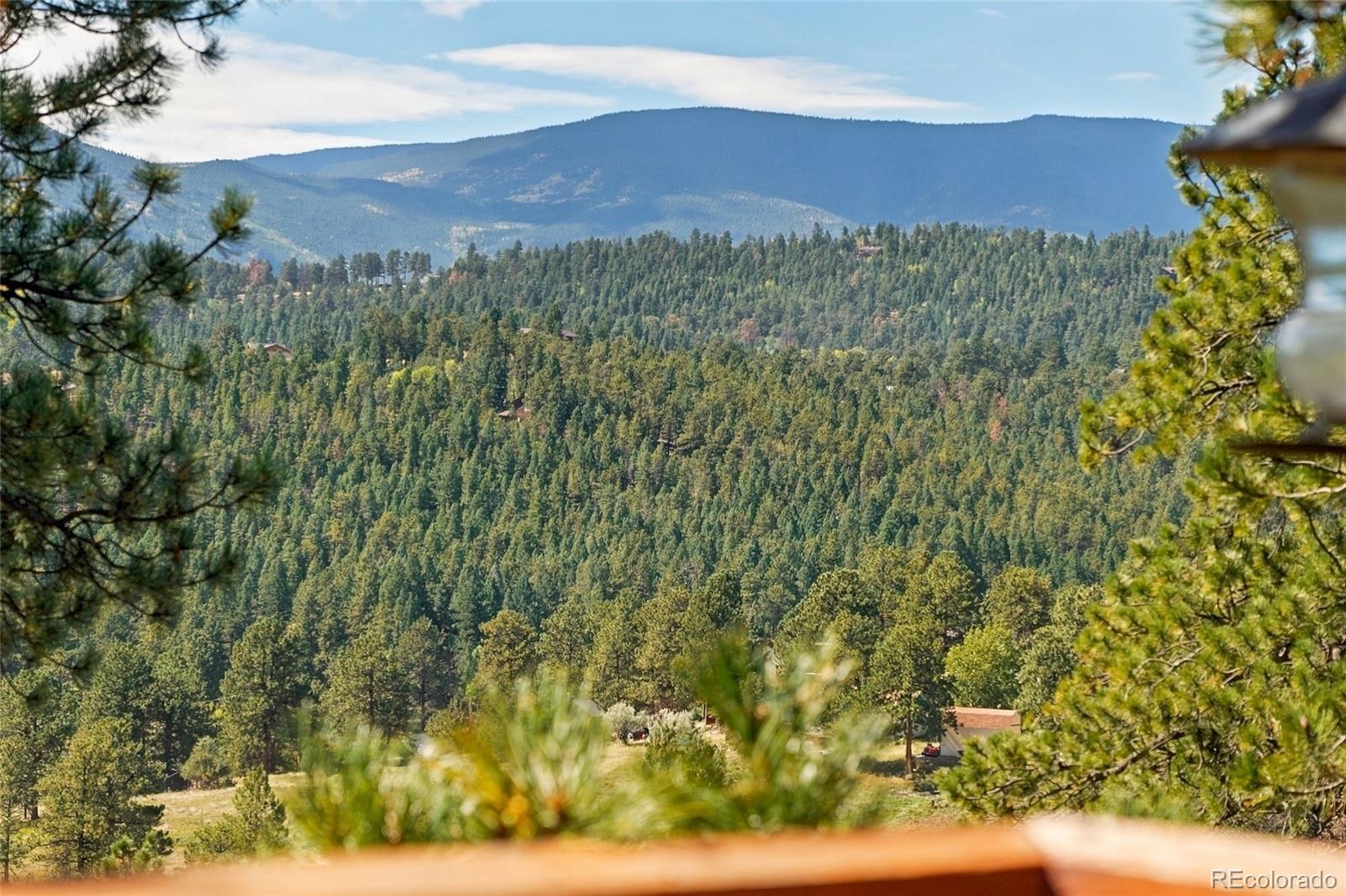 MLS Image #34 for 479  doe circle,bailey, Colorado