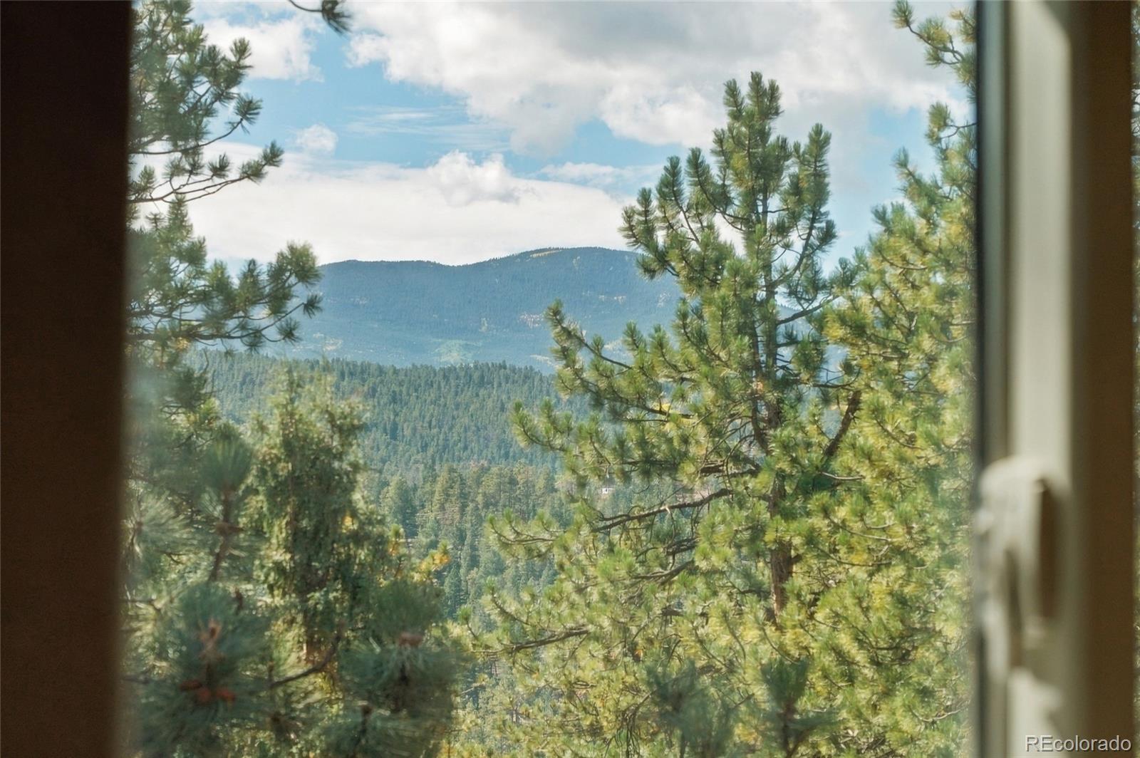 MLS Image #47 for 479  doe circle,bailey, Colorado