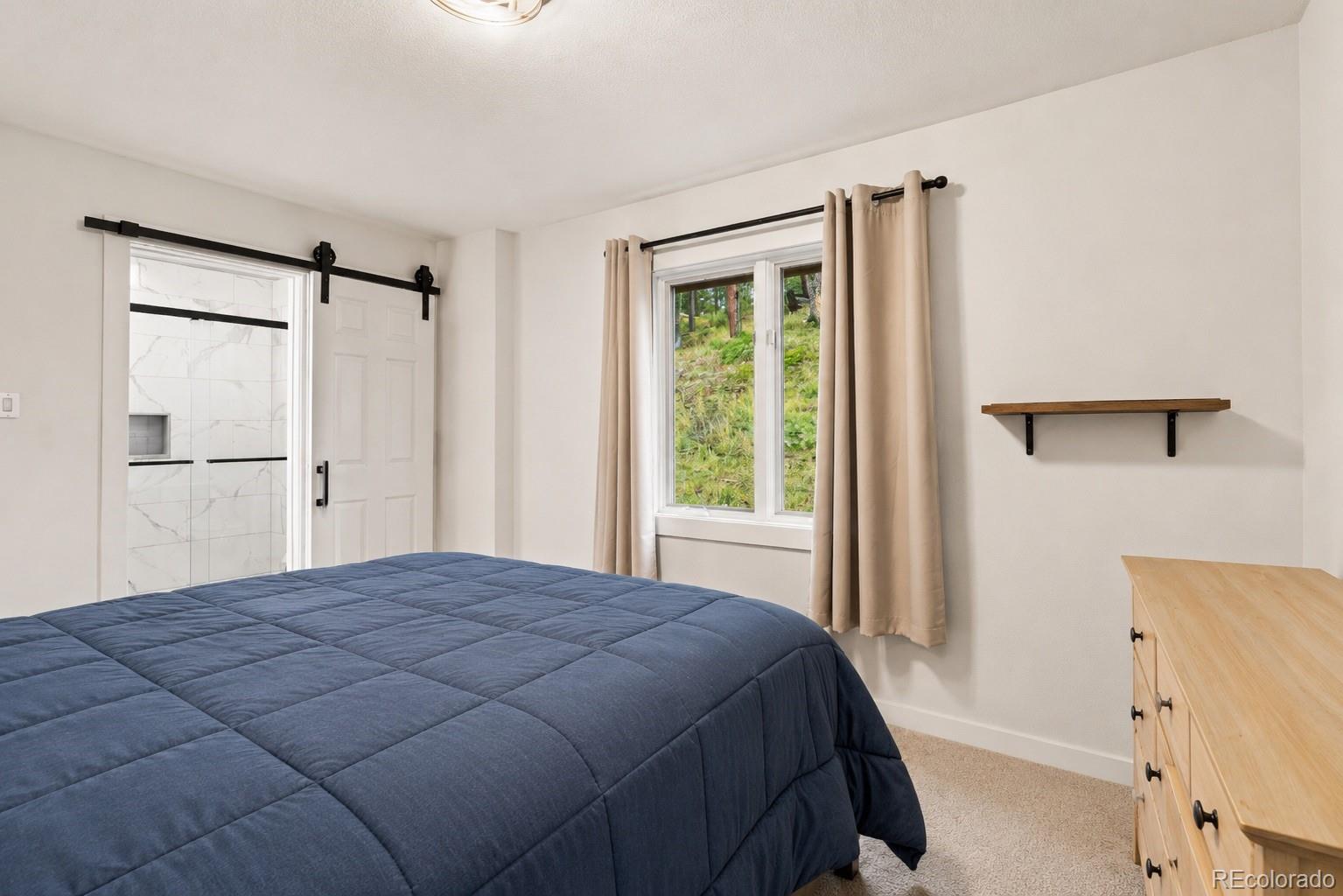 MLS Image #7 for 9573  fox valley drive,morrison, Colorado