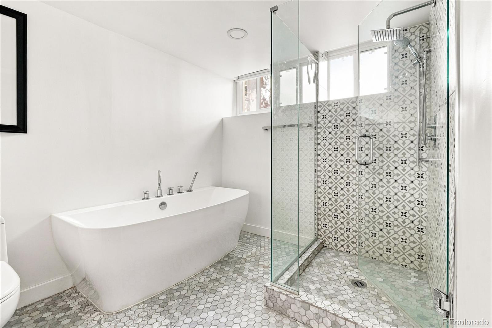MLS Image #38 for 605 n race street,denver, Colorado