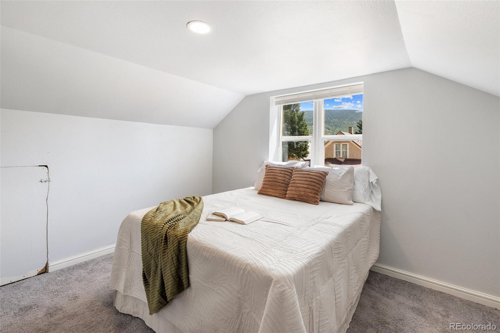 MLS Image #20 for 223 s second street,victor, Colorado
