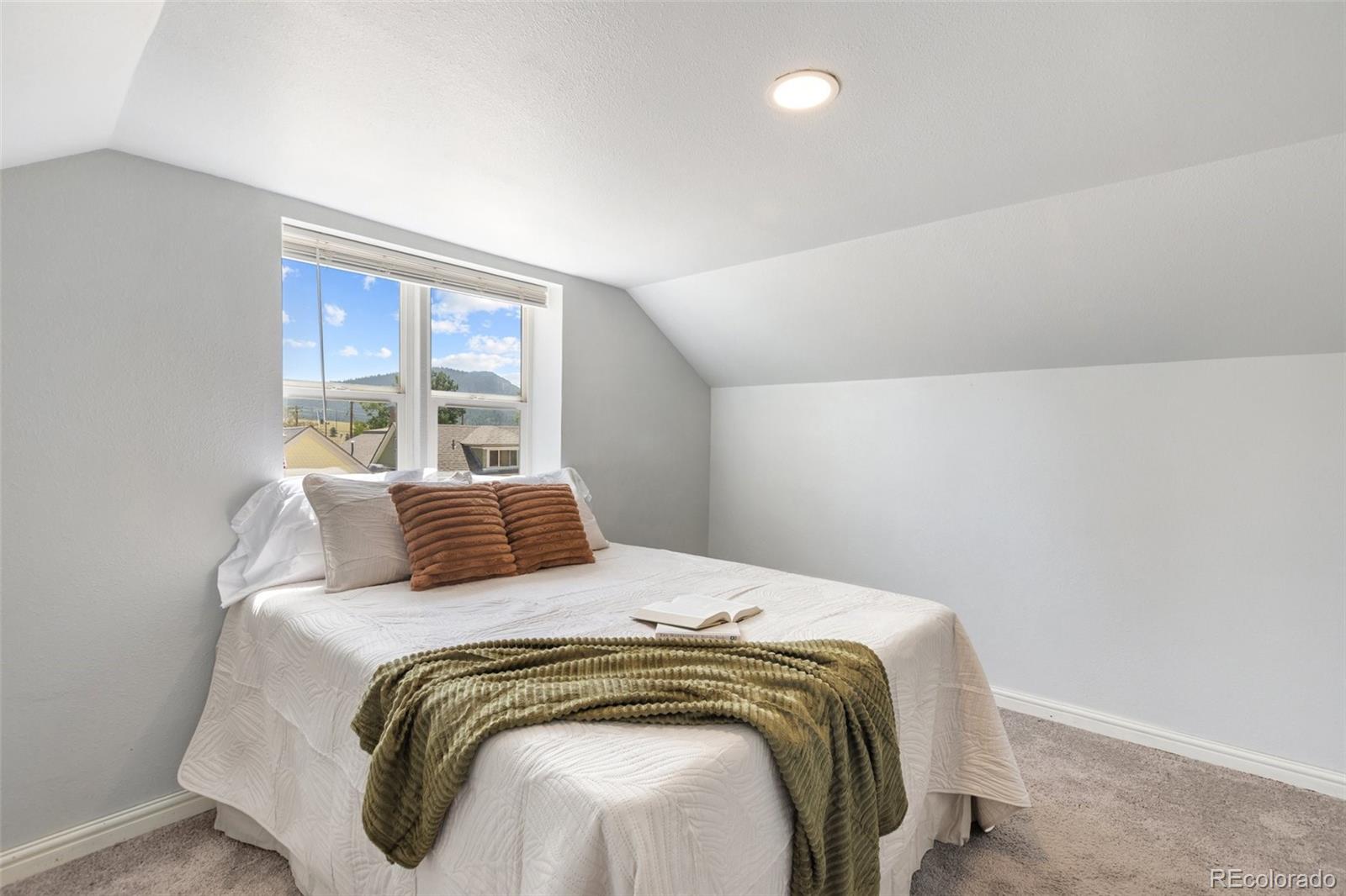 MLS Image #21 for 223 s second street,victor, Colorado