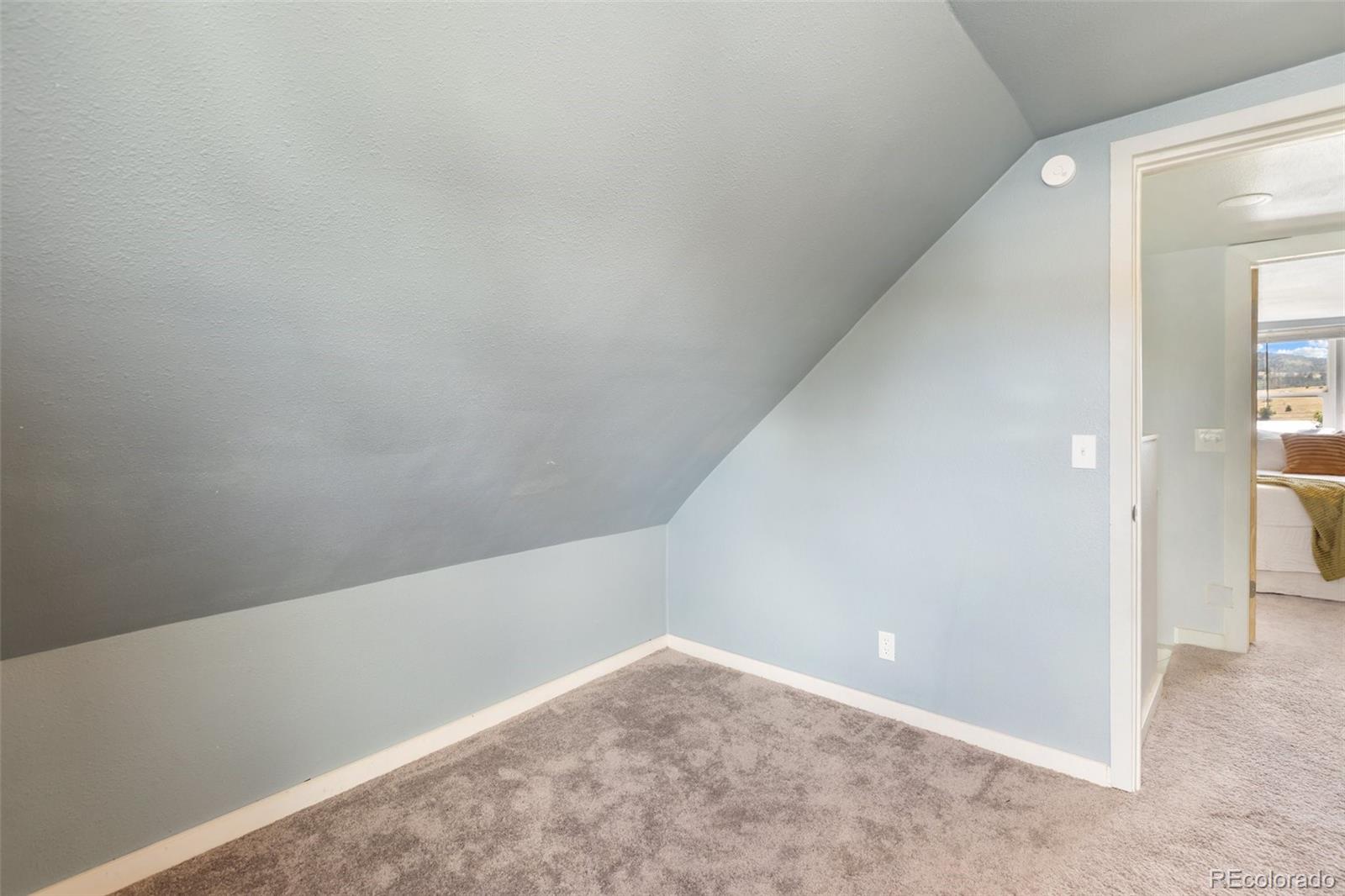 MLS Image #26 for 223 s second street,victor, Colorado