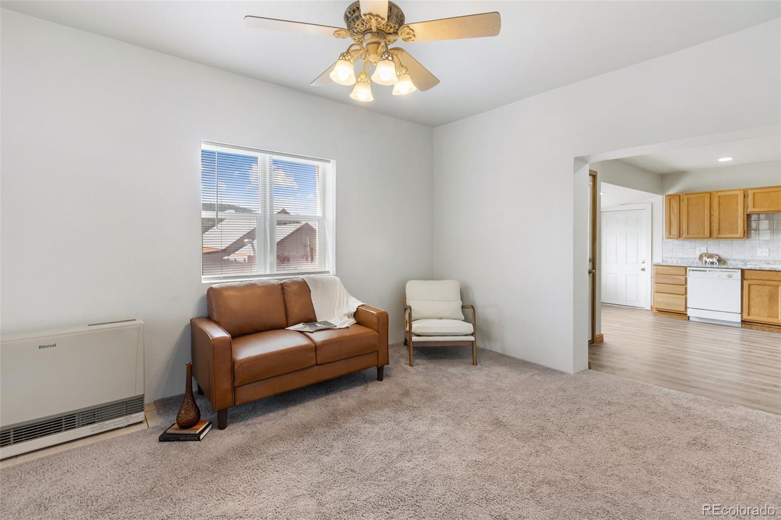 MLS Image #6 for 223 s second street,victor, Colorado