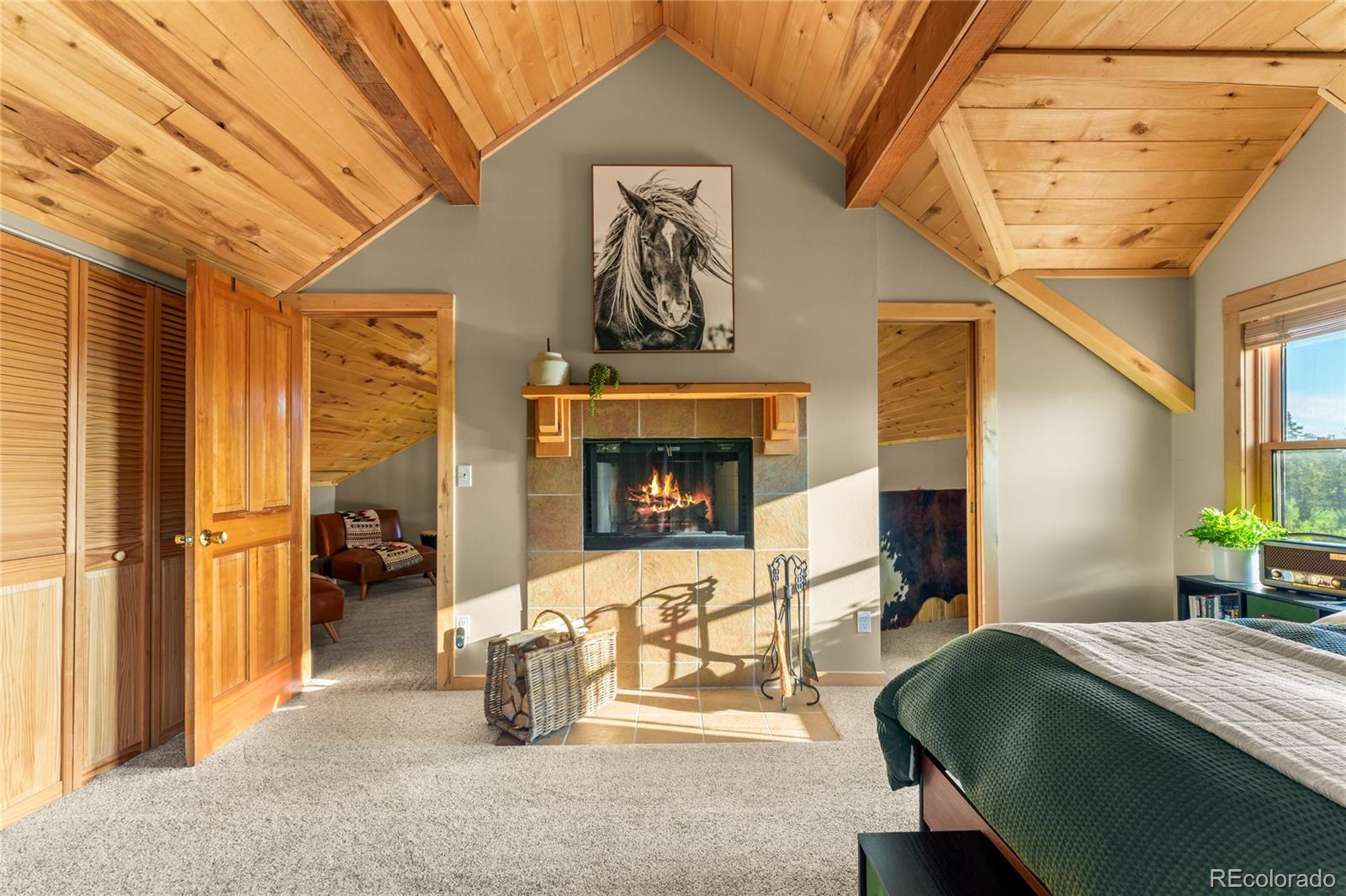 MLS Image #23 for 177  longbow drive,como, Colorado