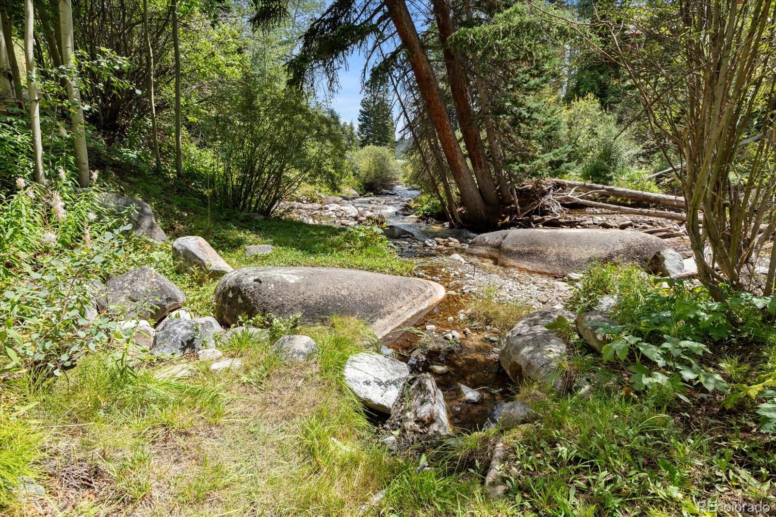 MLS Image #10 for 22494  county road 227 ,salida, Colorado