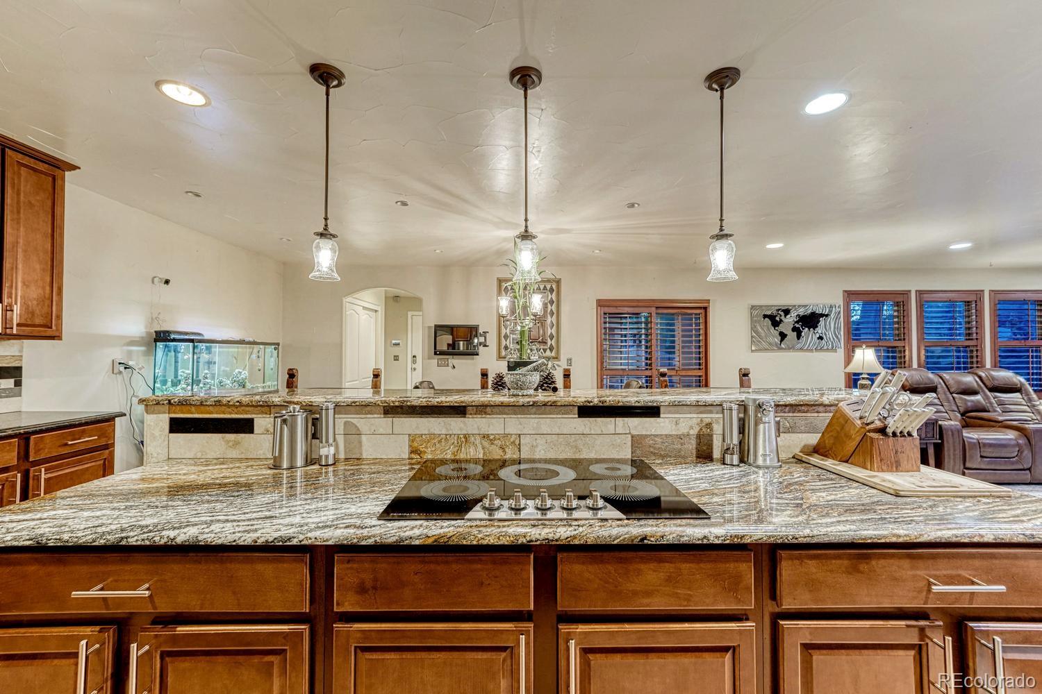 MLS Image #22 for 1023 s locust street,denver, Colorado