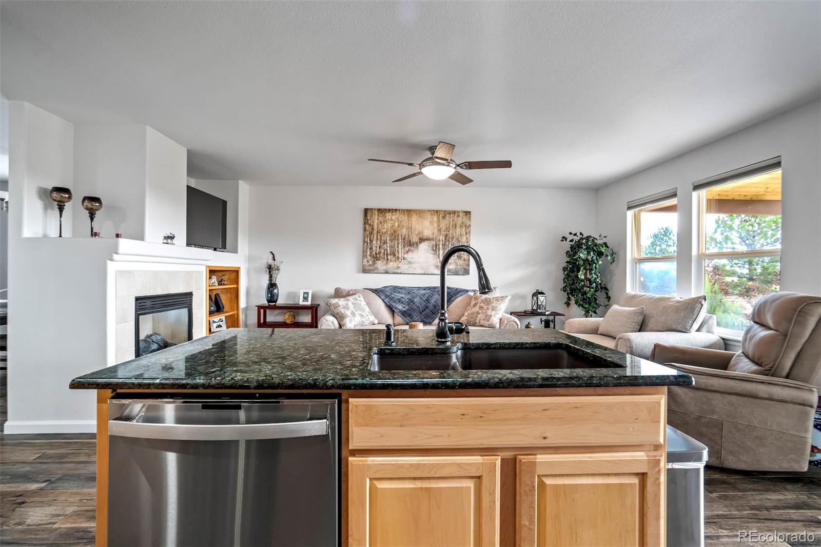 MLS Image #14 for 1294  kittery street,castle rock, Colorado