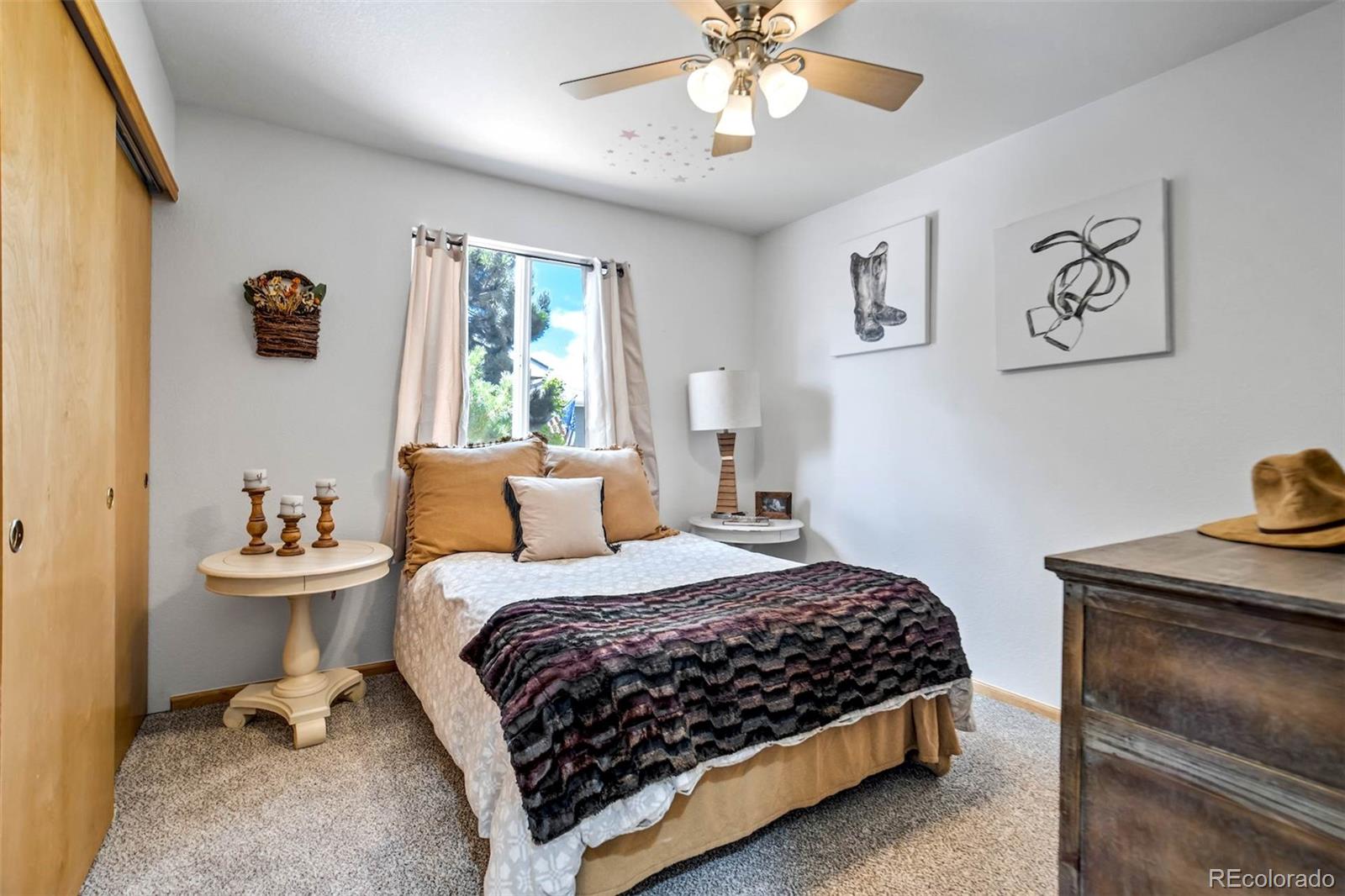 MLS Image #29 for 1294  kittery street,castle rock, Colorado
