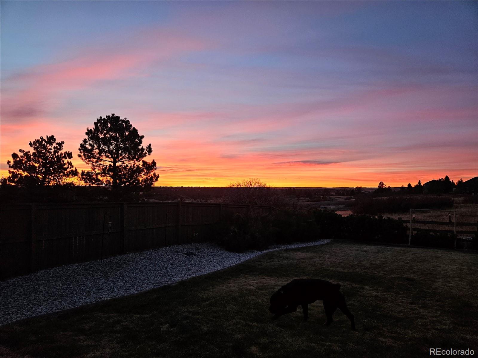 MLS Image #45 for 1294  kittery street,castle rock, Colorado