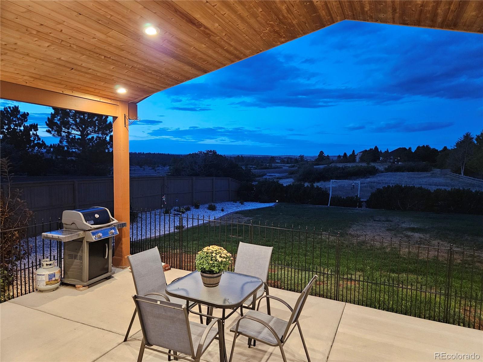 MLS Image #46 for 1294  kittery street,castle rock, Colorado