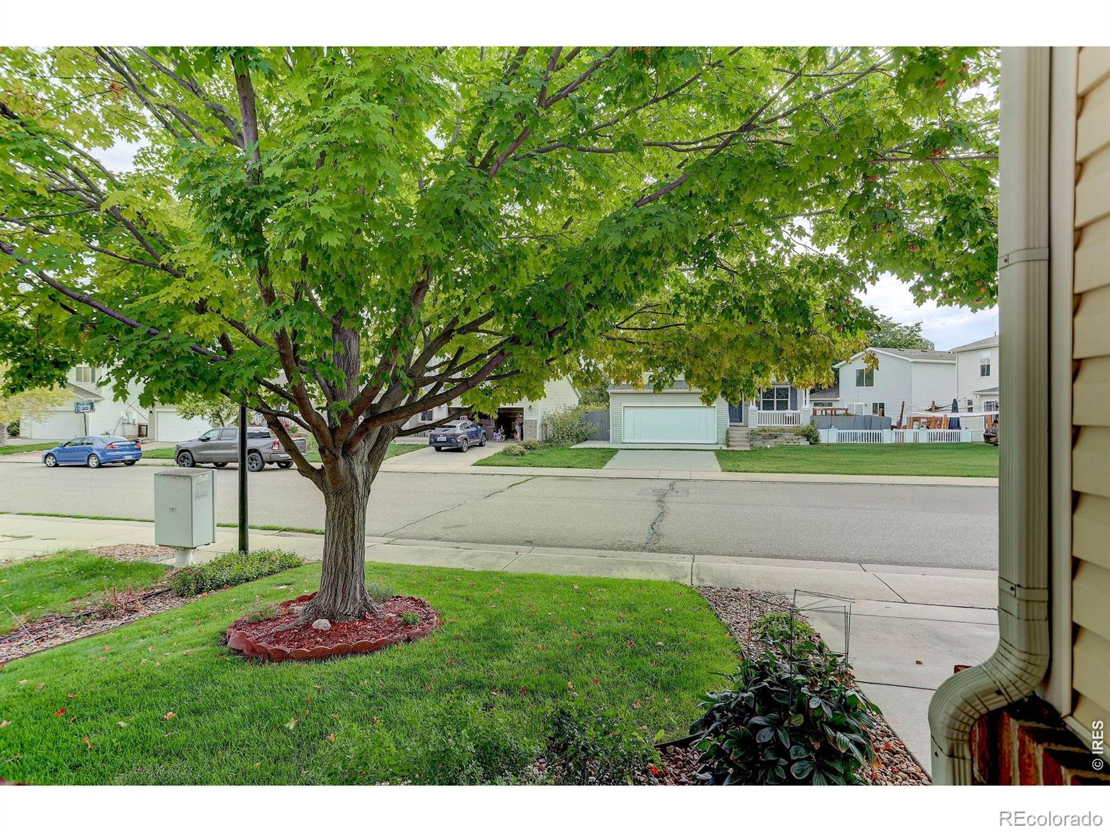 MLS Image #3 for 1211  spring creek court,longmont, Colorado