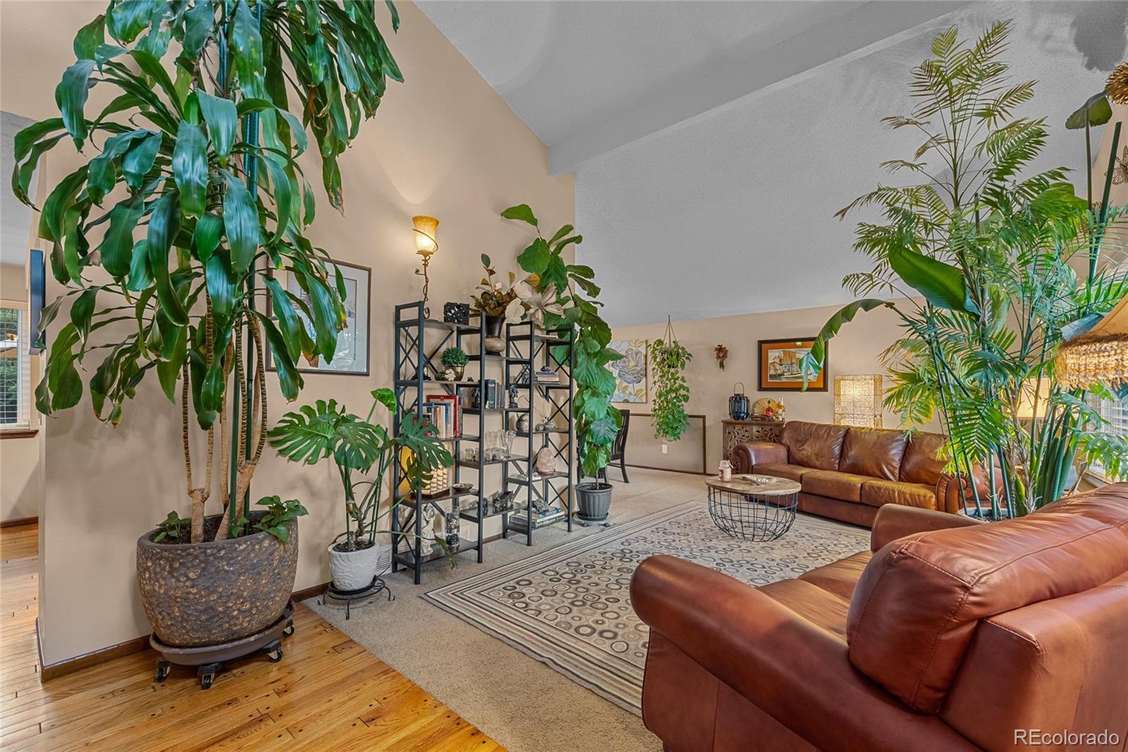 MLS Image #10 for 7602 w elmhurst drive,littleton, Colorado