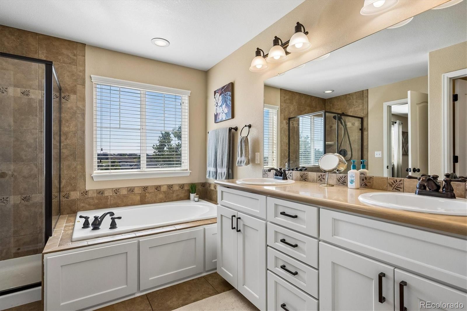 MLS Image #24 for 10198  greenfield circle,parker, Colorado