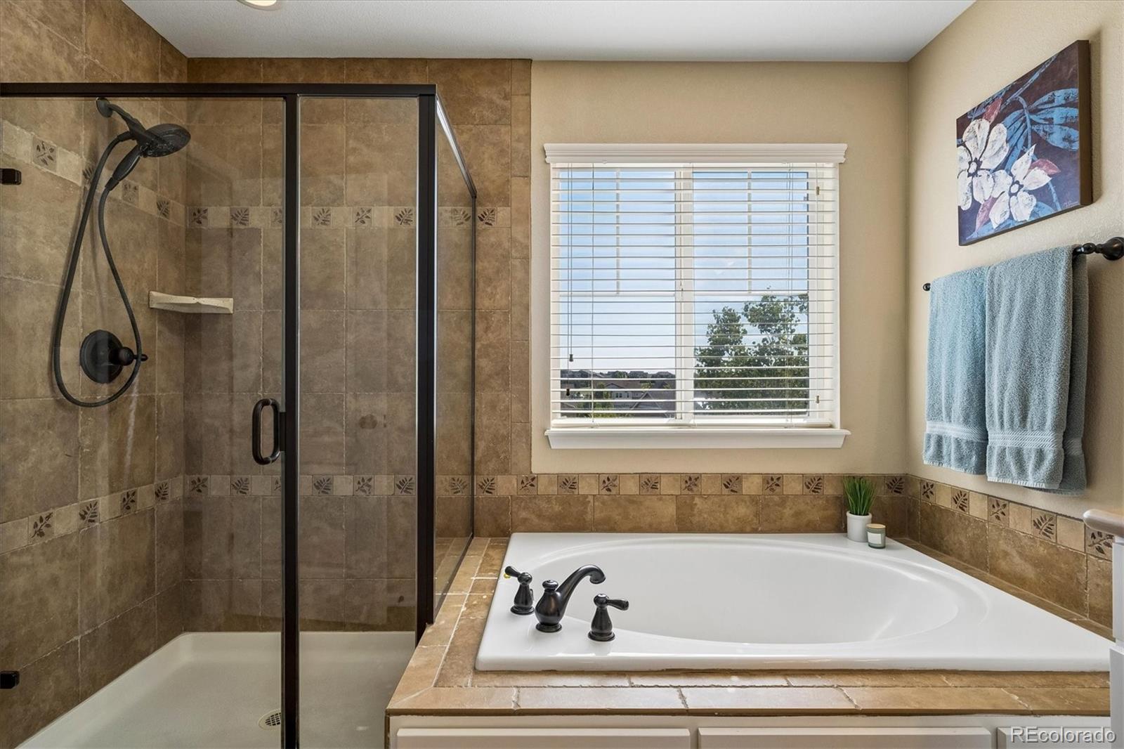MLS Image #25 for 10198  greenfield circle,parker, Colorado