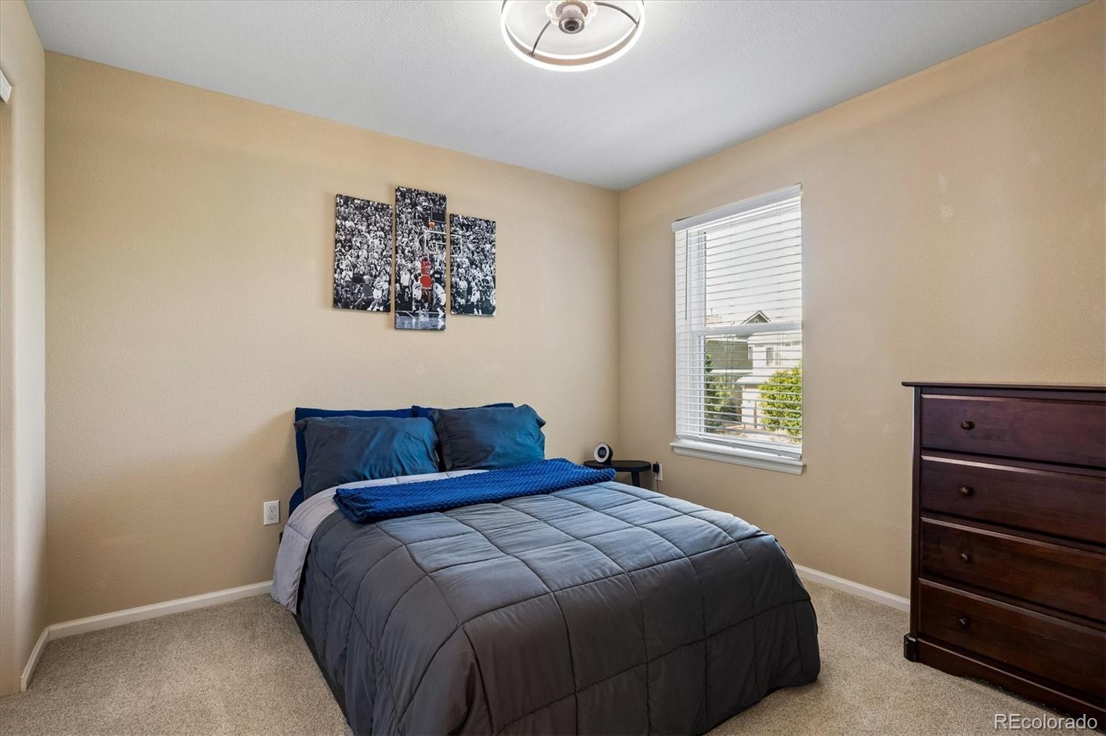 MLS Image #27 for 10198  greenfield circle,parker, Colorado
