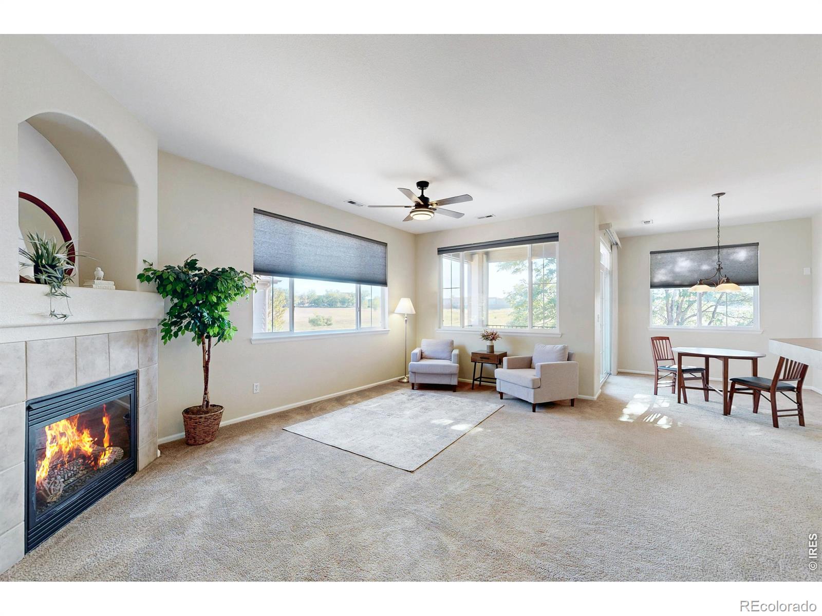 MLS Image #5 for 11313  navajo circle,westminster, Colorado