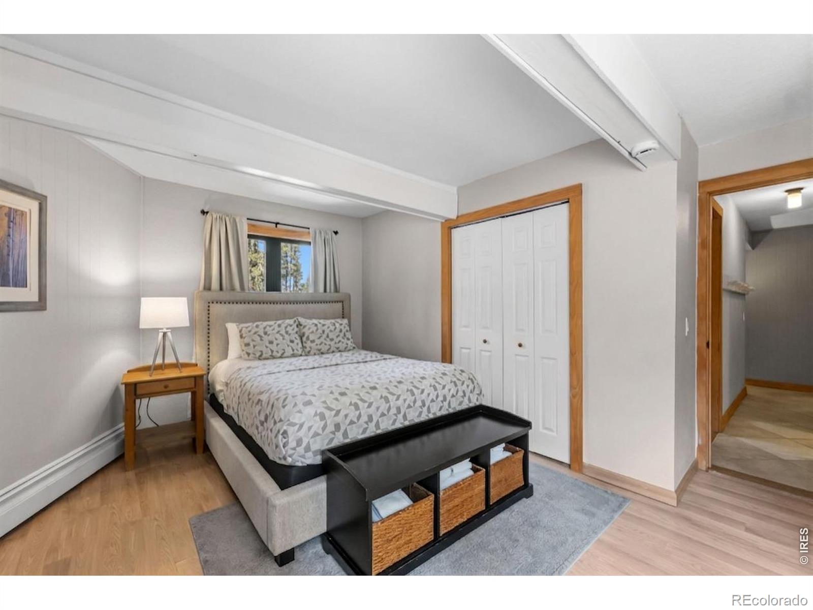 MLS Image #10 for 1155  ski hill road,breckenridge, Colorado