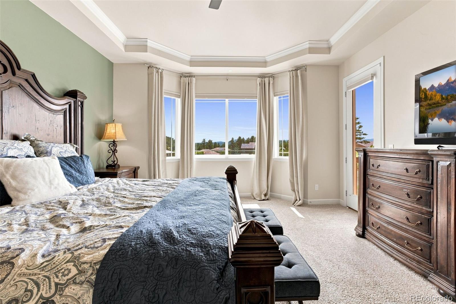 MLS Image #28 for 5466  water oak circle,castle rock, Colorado