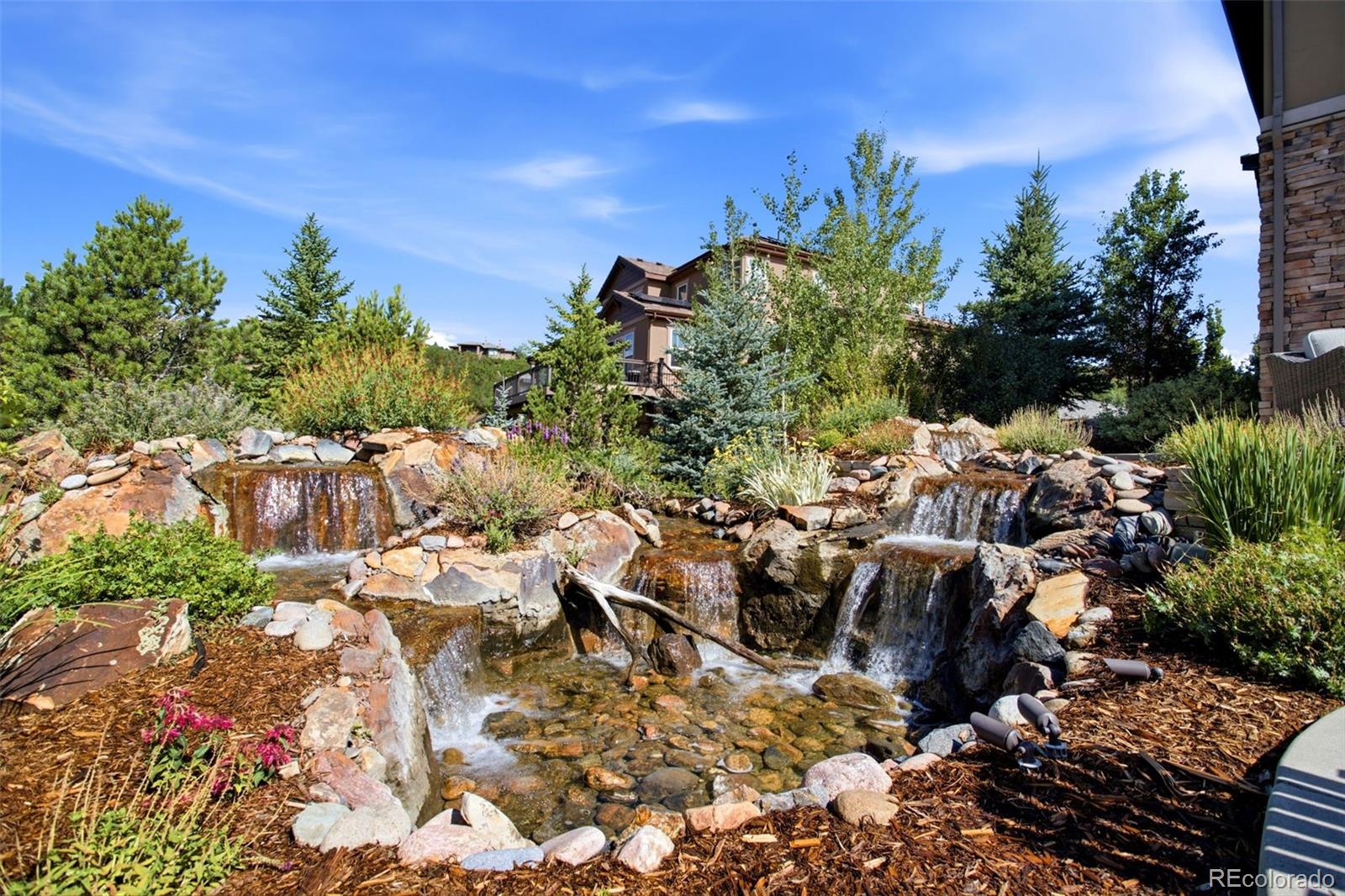 MLS Image #3 for 5466  water oak circle,castle rock, Colorado