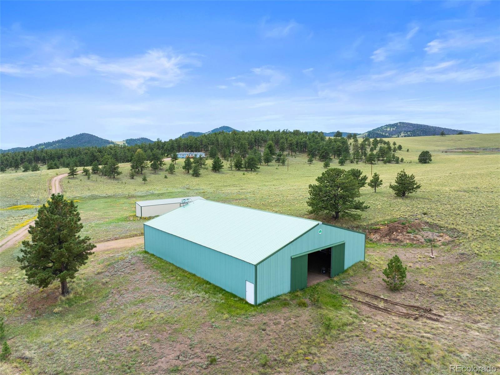 MLS Image #1 for 1325  county rd 59 ,guffey, Colorado