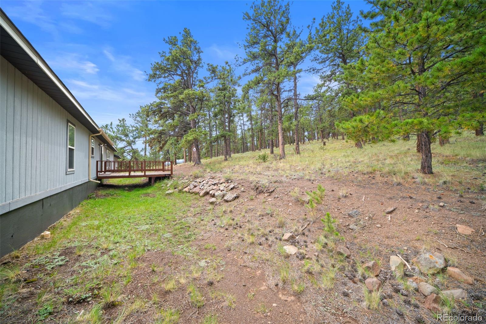 MLS Image #15 for 1325  county rd 59 ,guffey, Colorado