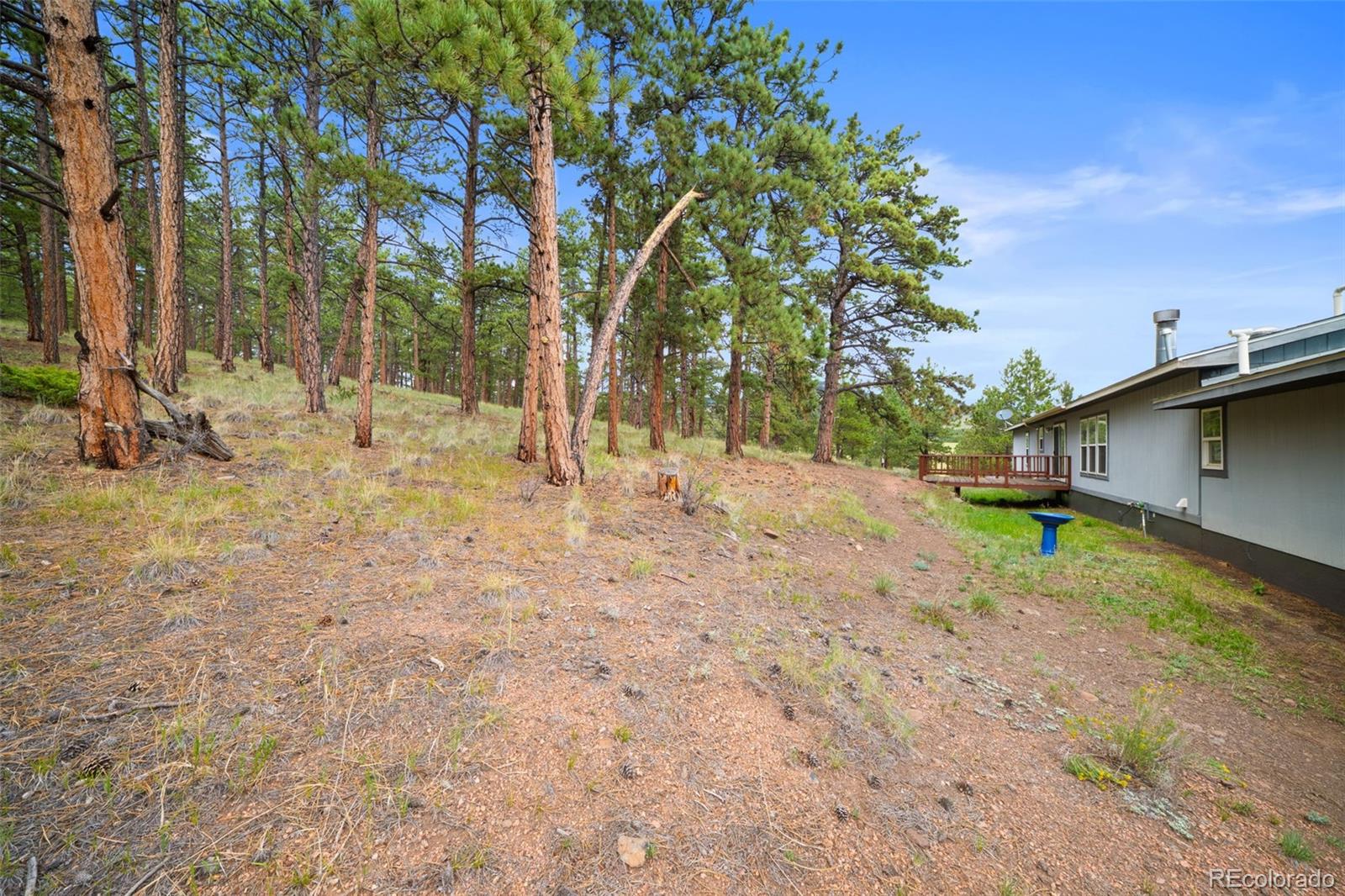 MLS Image #16 for 1325  county rd 59 ,guffey, Colorado