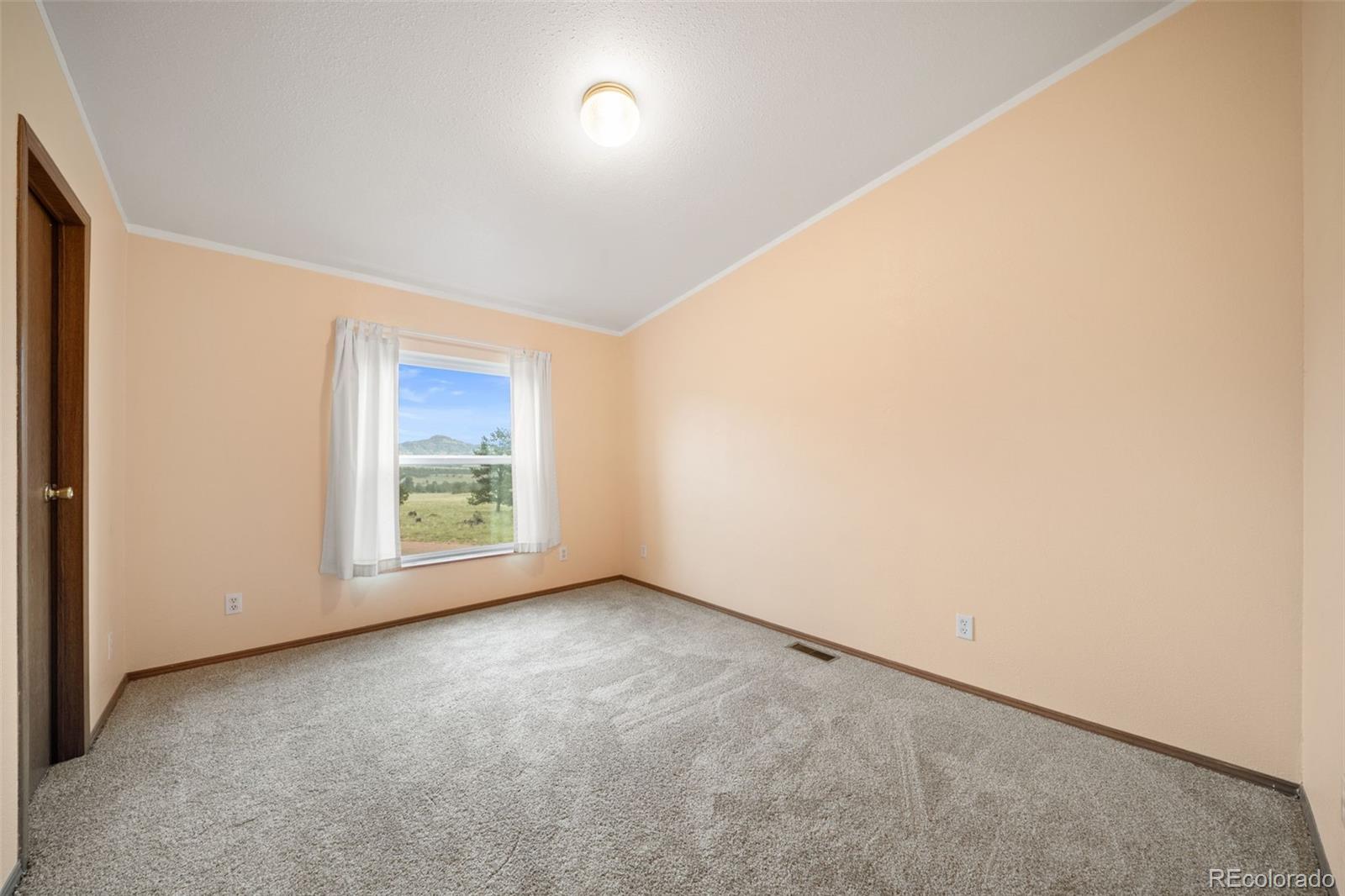 MLS Image #20 for 1325  county rd 59 ,guffey, Colorado
