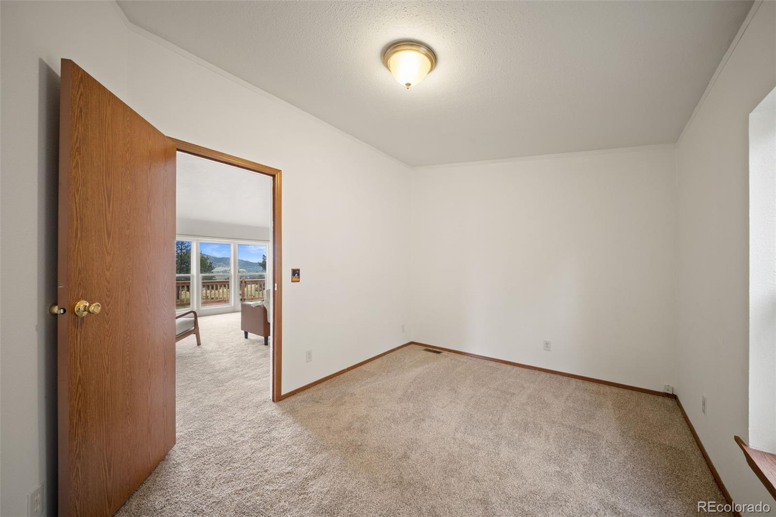 MLS Image #22 for 1325  county rd 59 ,guffey, Colorado