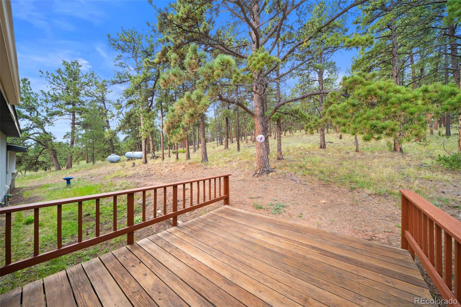 MLS Image #23 for 1325  county rd 59 ,guffey, Colorado