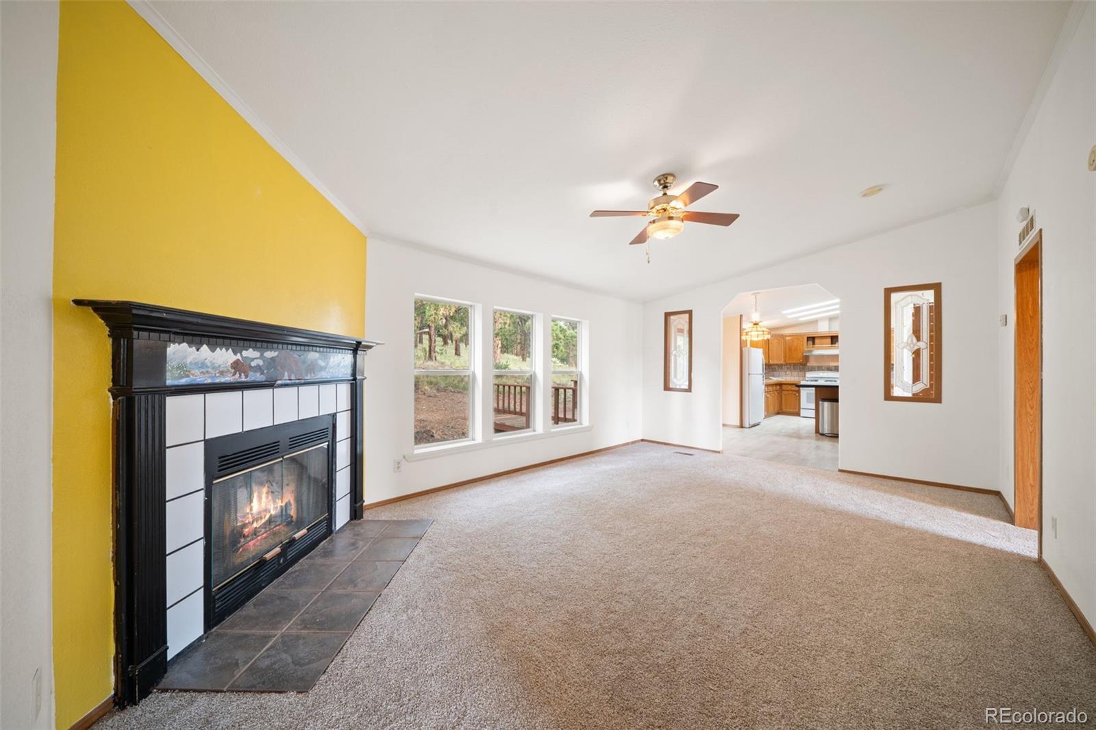 MLS Image #28 for 1325  county rd 59 ,guffey, Colorado