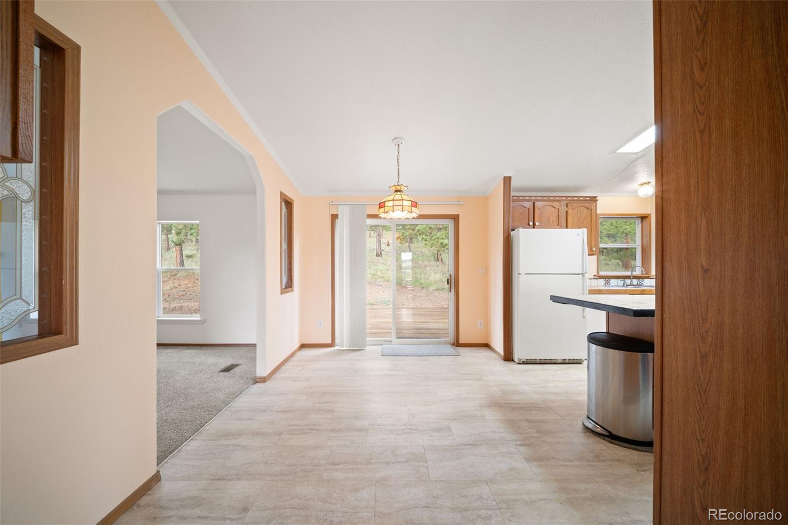 MLS Image #29 for 1325  county rd 59 ,guffey, Colorado