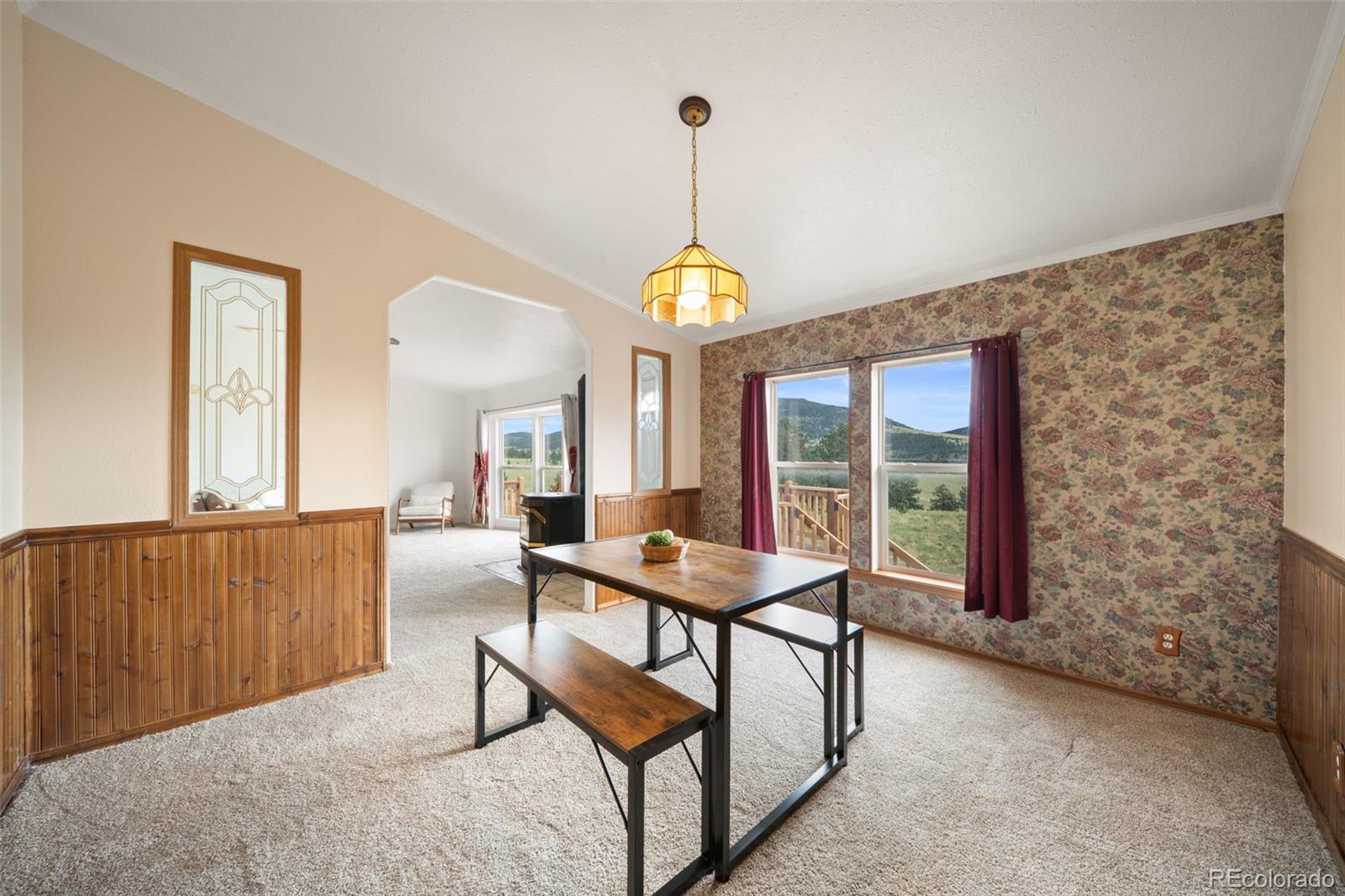 MLS Image #32 for 1325  county rd 59 ,guffey, Colorado