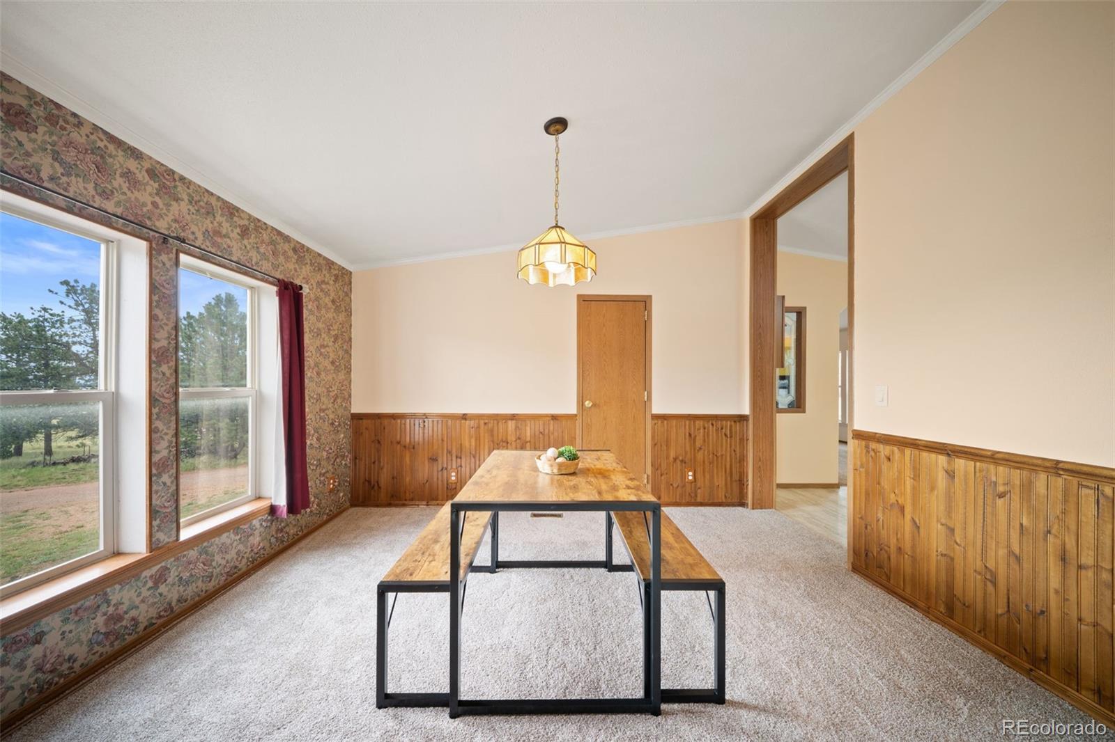 MLS Image #33 for 1325  county rd 59 ,guffey, Colorado