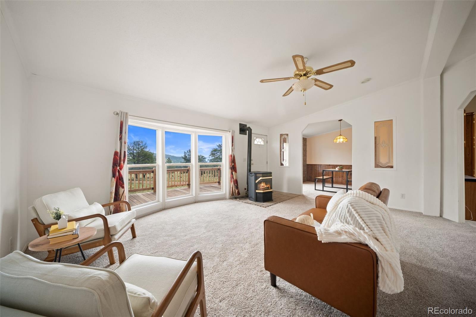 MLS Image #34 for 1325  county rd 59 ,guffey, Colorado