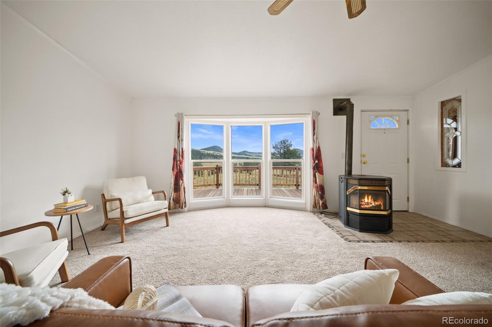 MLS Image #35 for 1325  county rd 59 ,guffey, Colorado