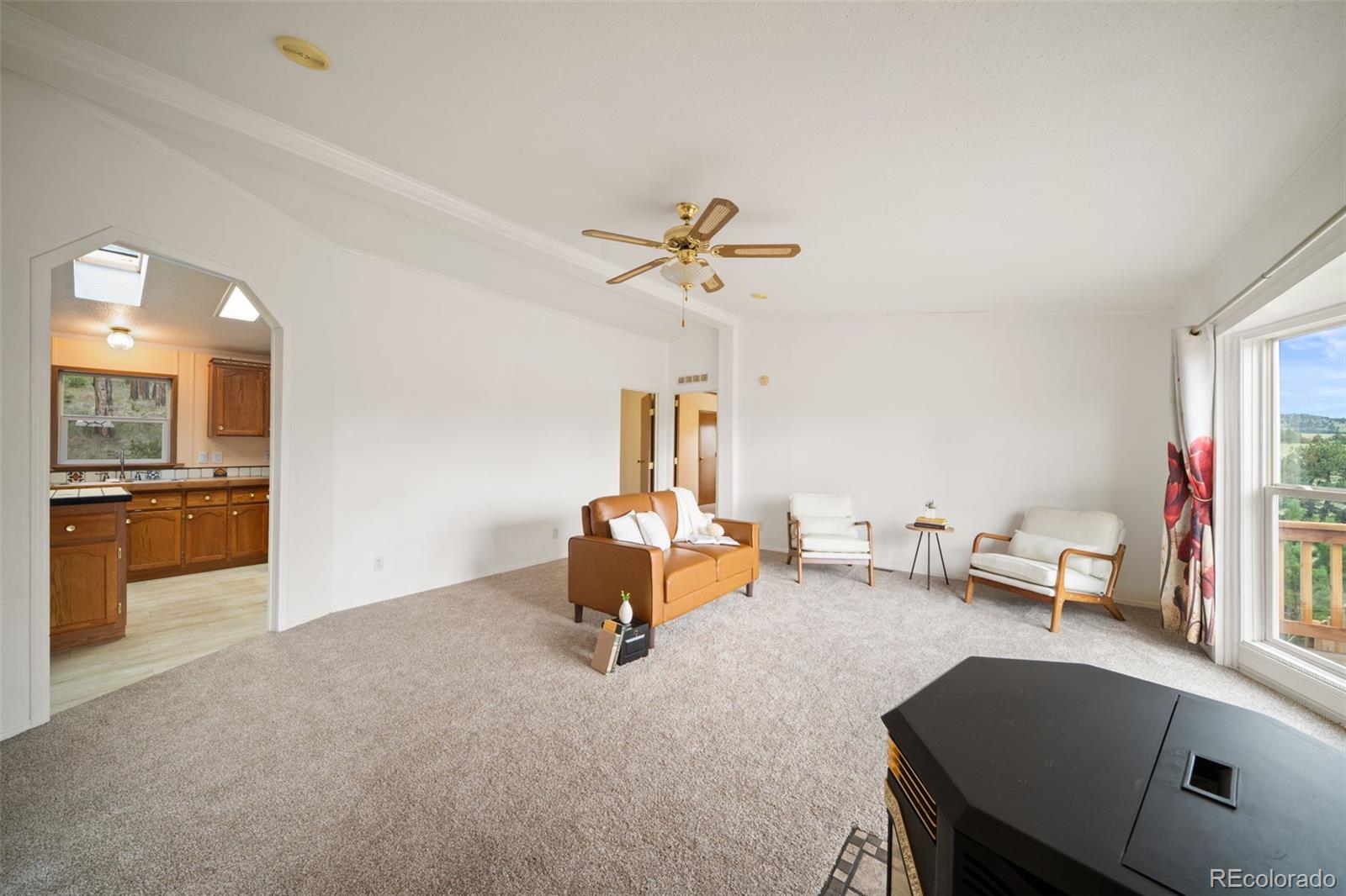 MLS Image #36 for 1325  county rd 59 ,guffey, Colorado