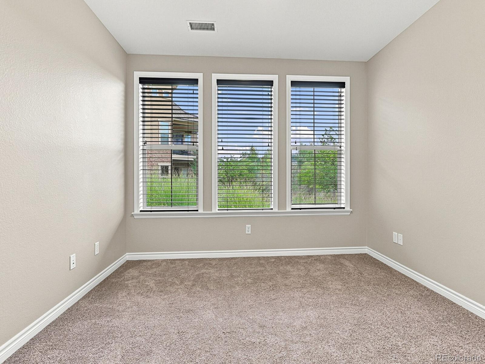 MLS Image #27 for 3036  veneto court,highlands ranch, Colorado