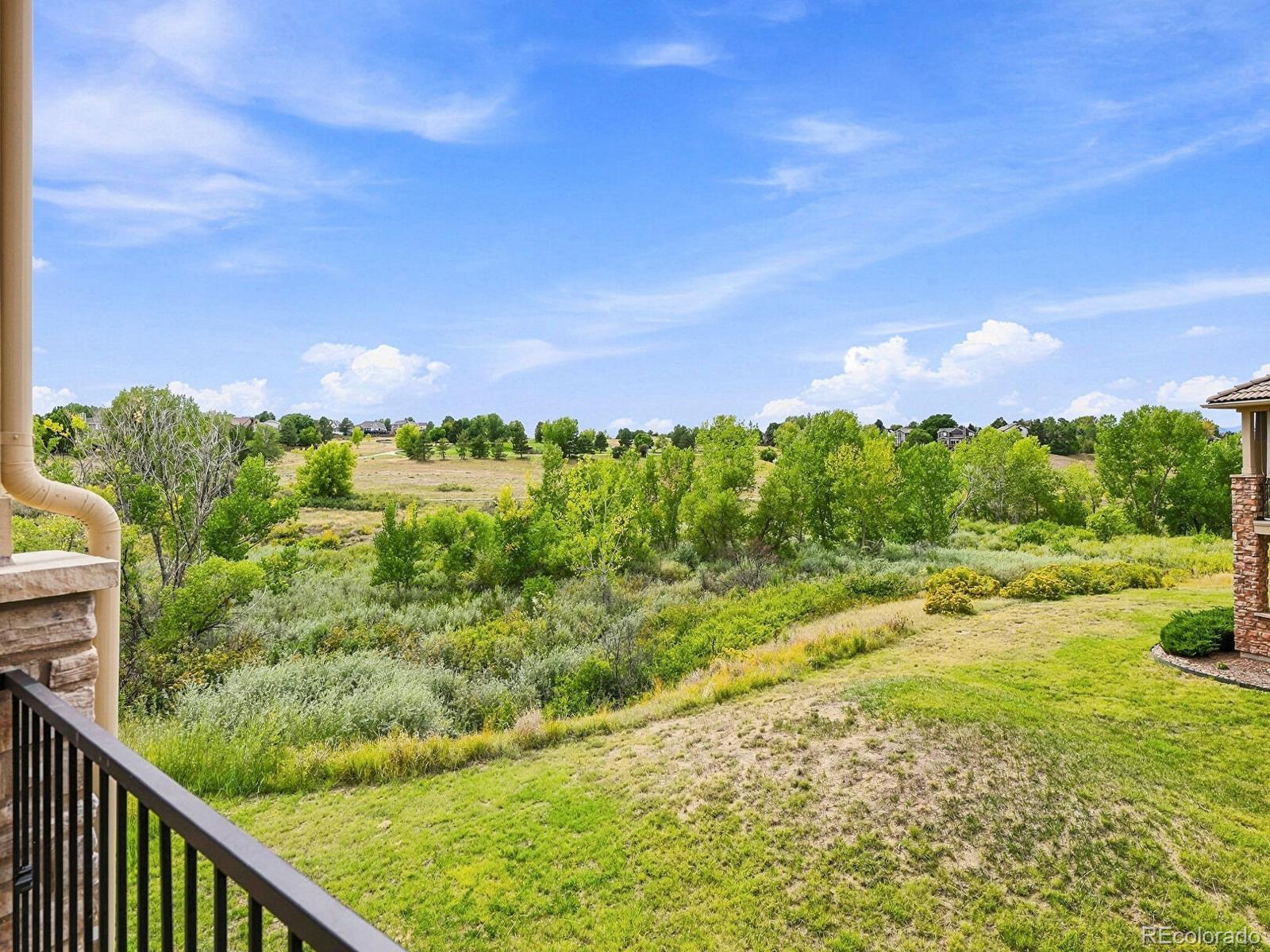 MLS Image #38 for 3036  veneto court,highlands ranch, Colorado