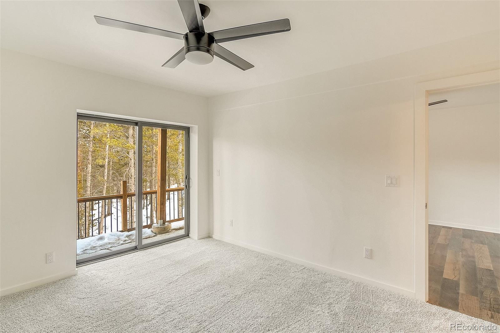 MLS Image #11 for 148  aspen street,alma, Colorado