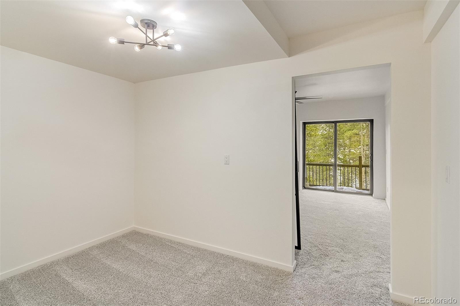 MLS Image #16 for 148  aspen street,alma, Colorado